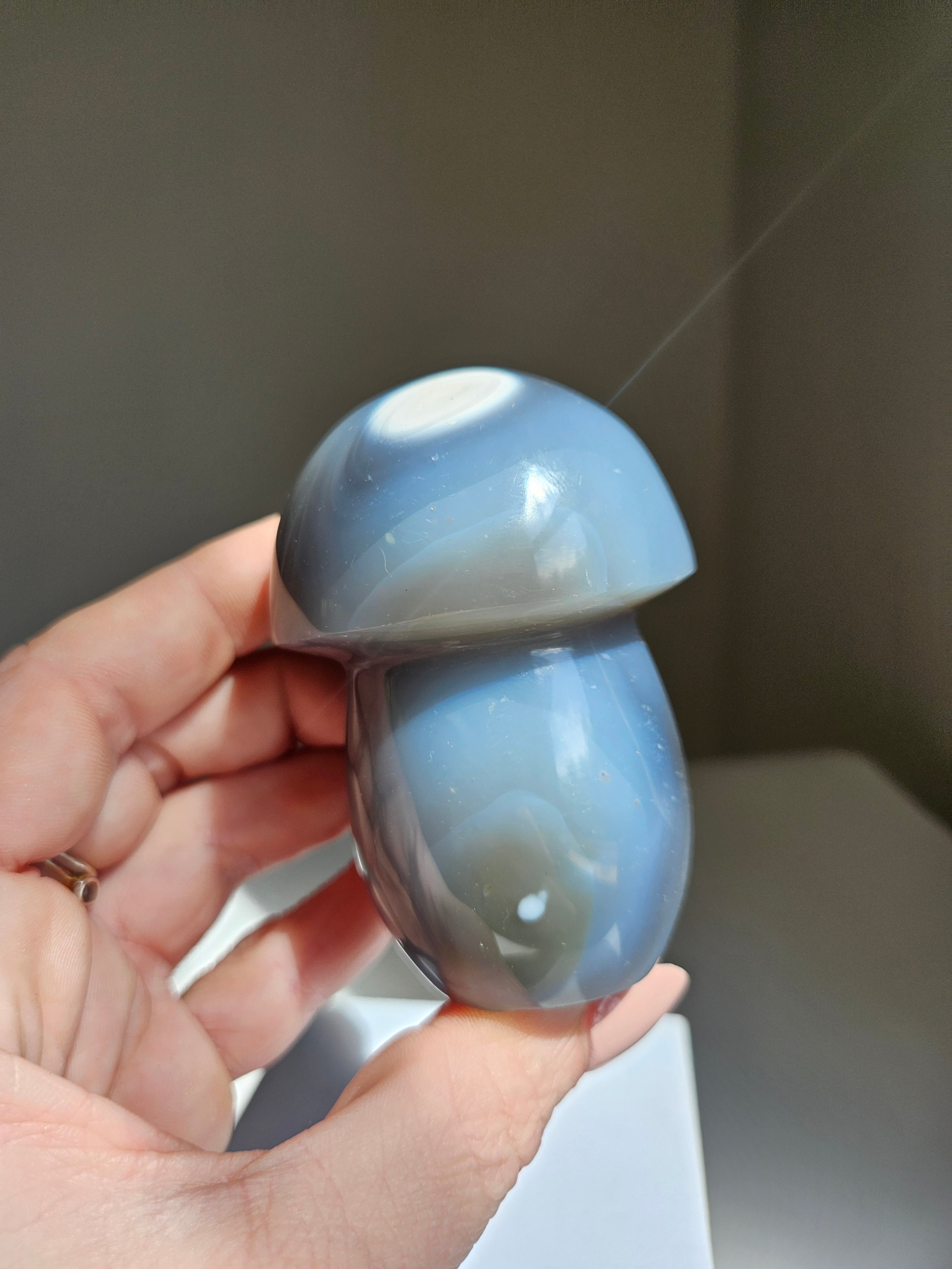 Orca Agate Mushroom 008