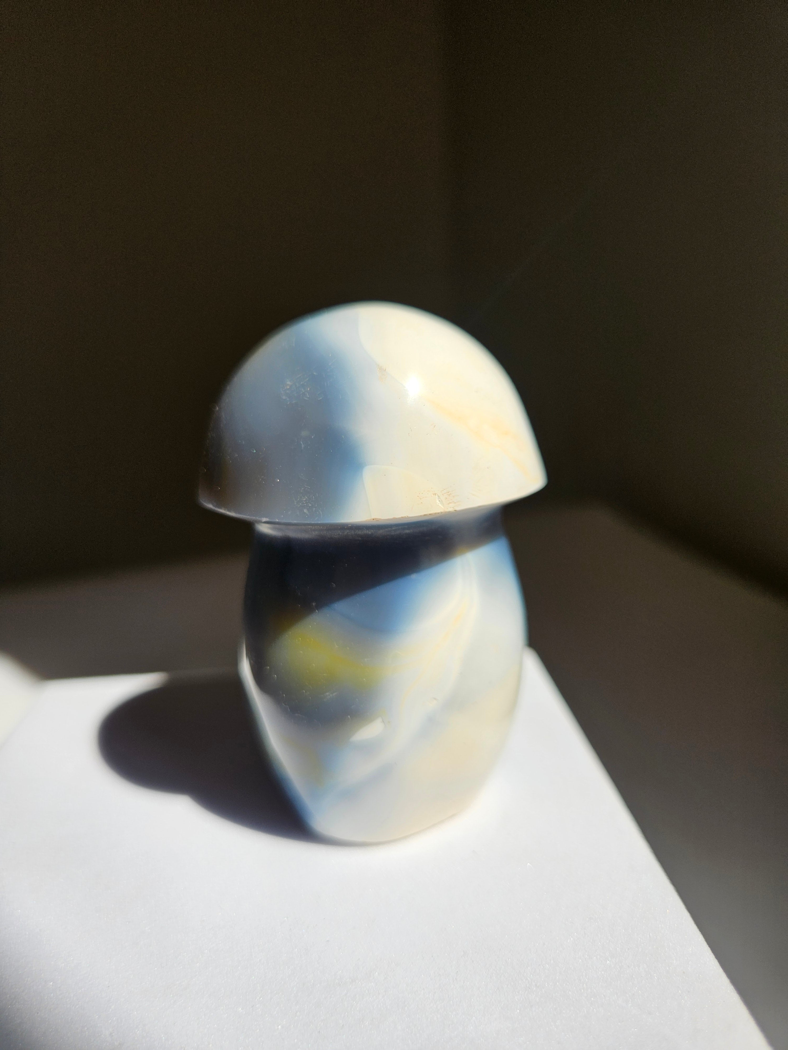 Orca Agate Mushroom 013
