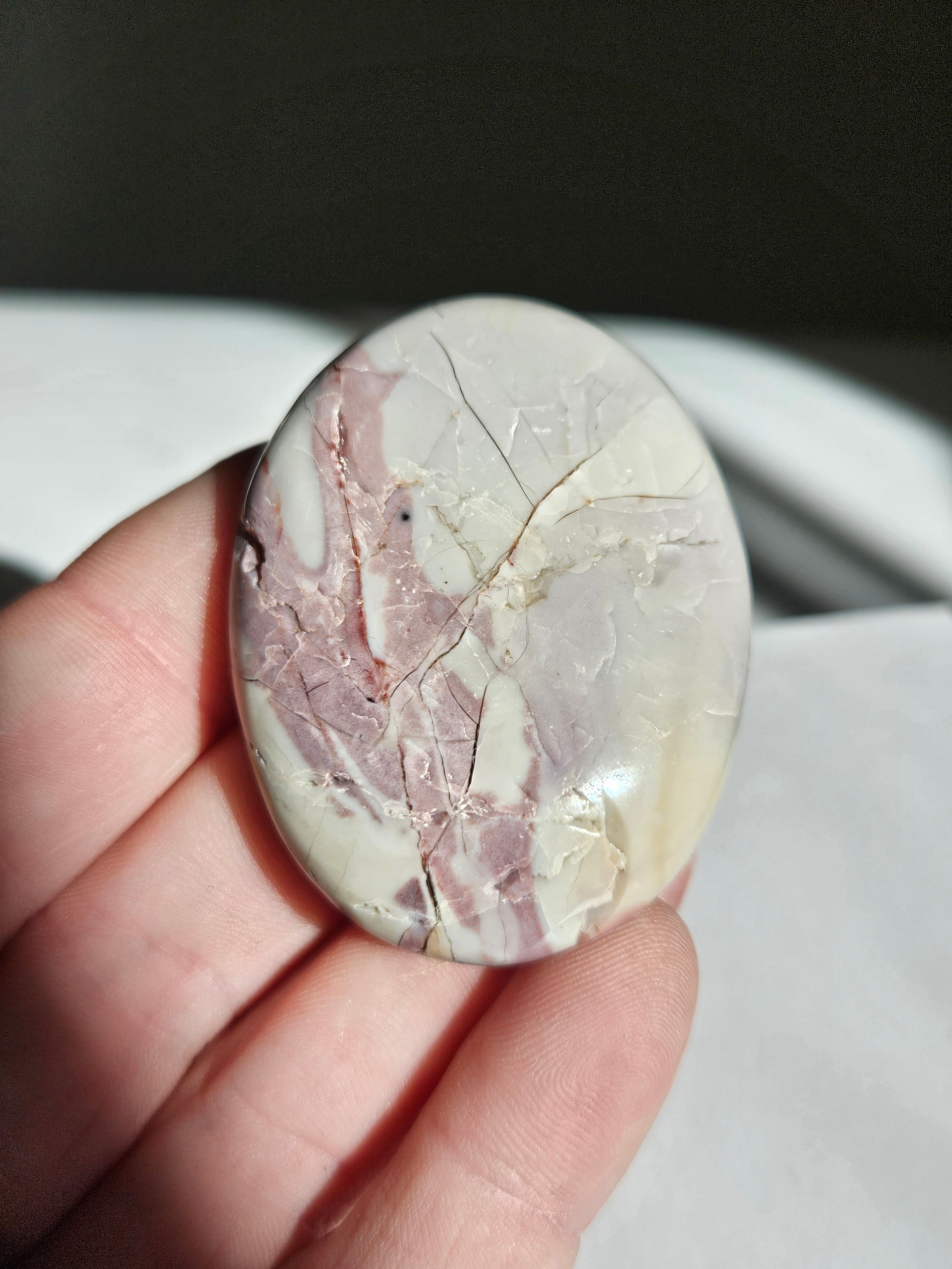 Hyacinth jasper palm 007