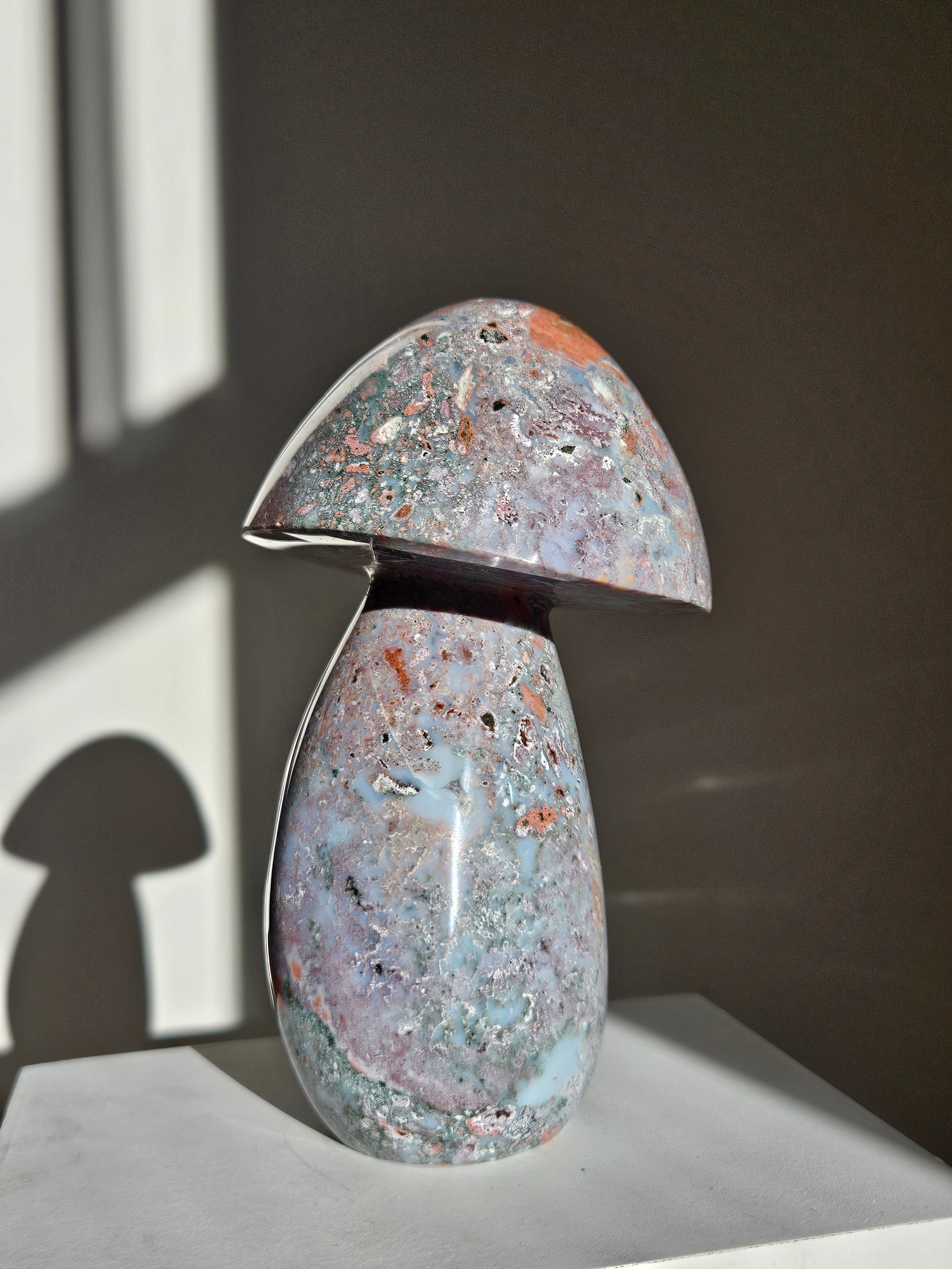 Sea Jasper Mushroom 009