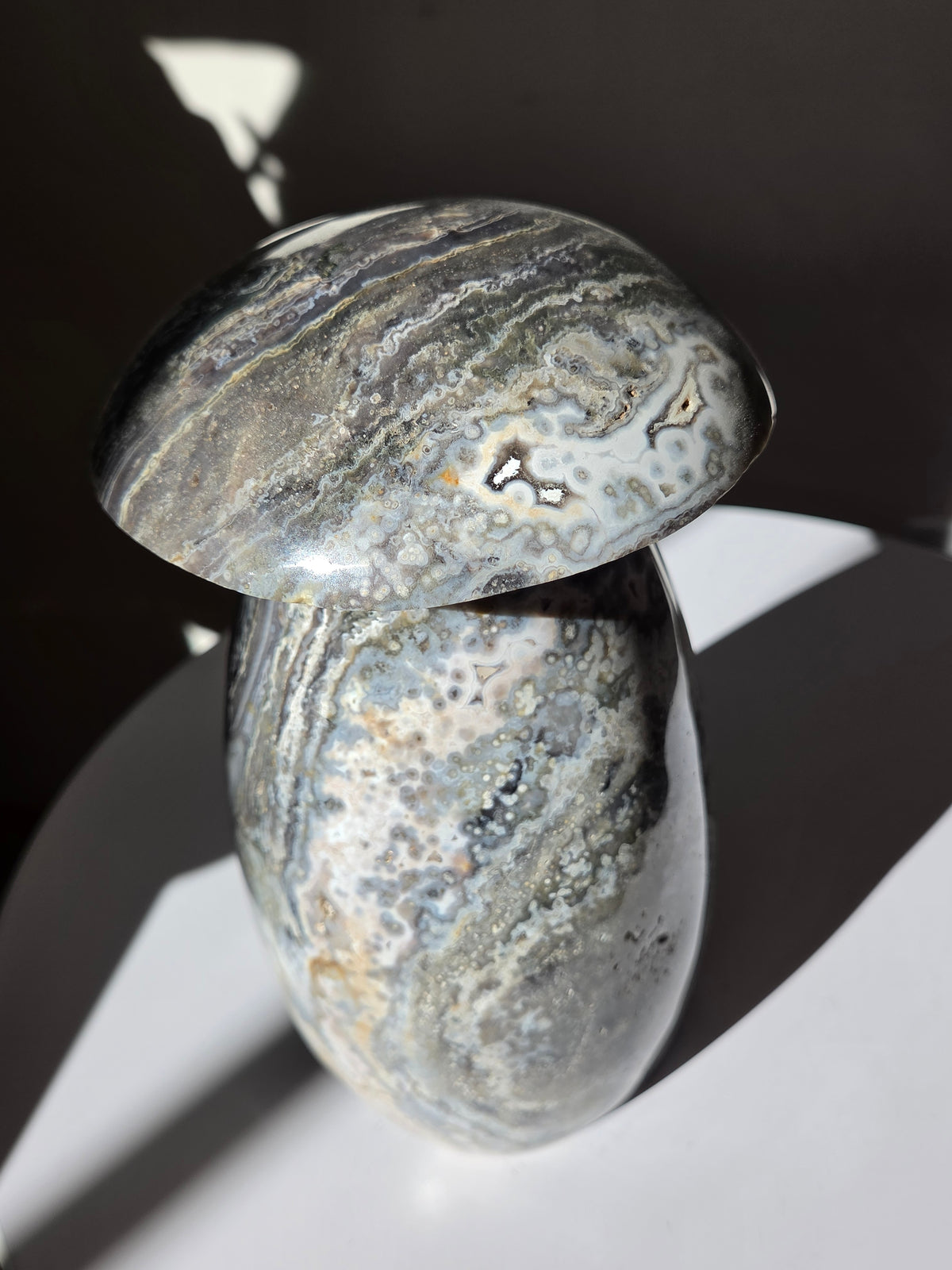 XL Sea Jasper Mushroom 004