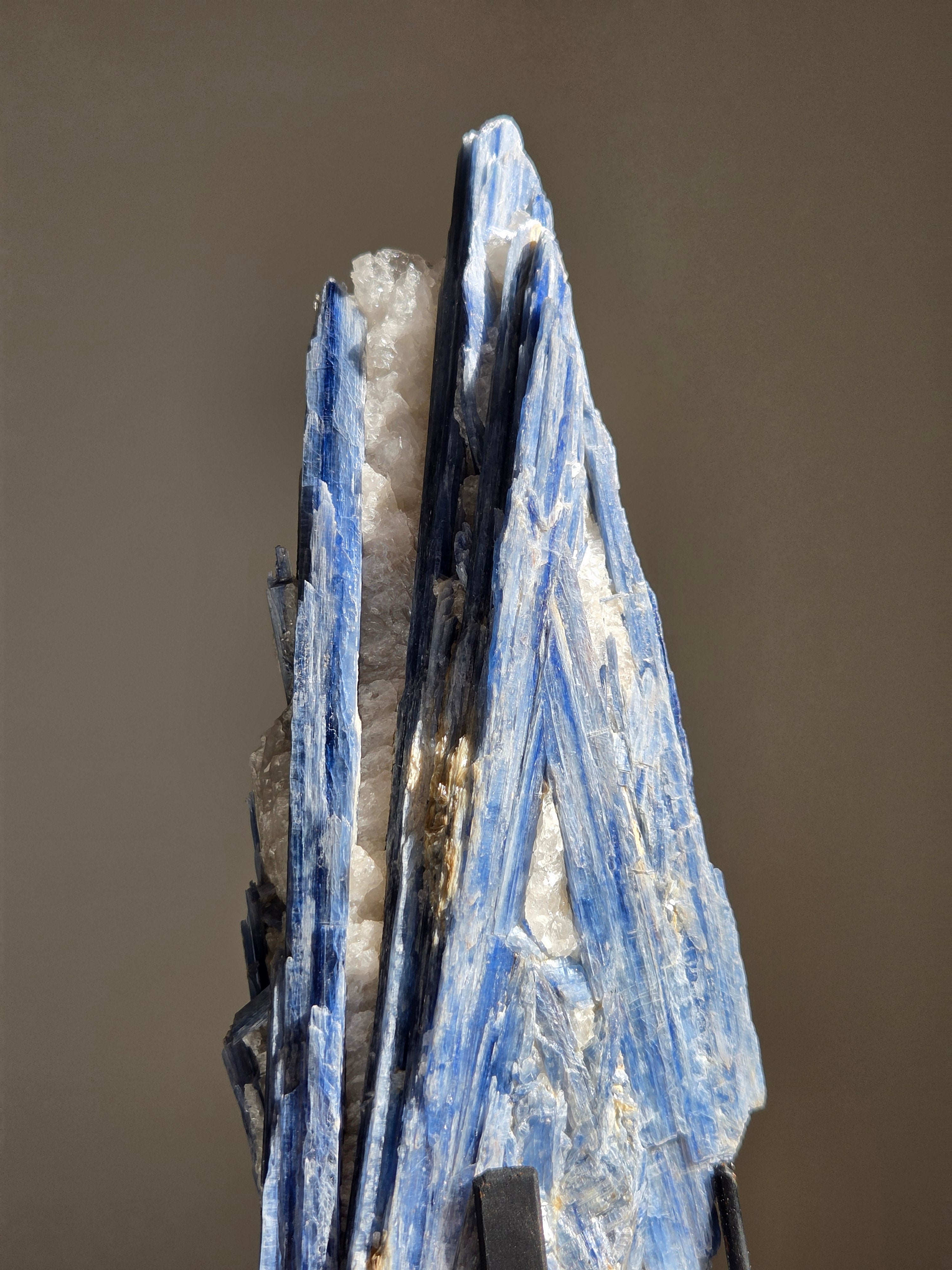 Blue Kyanite Statement 002