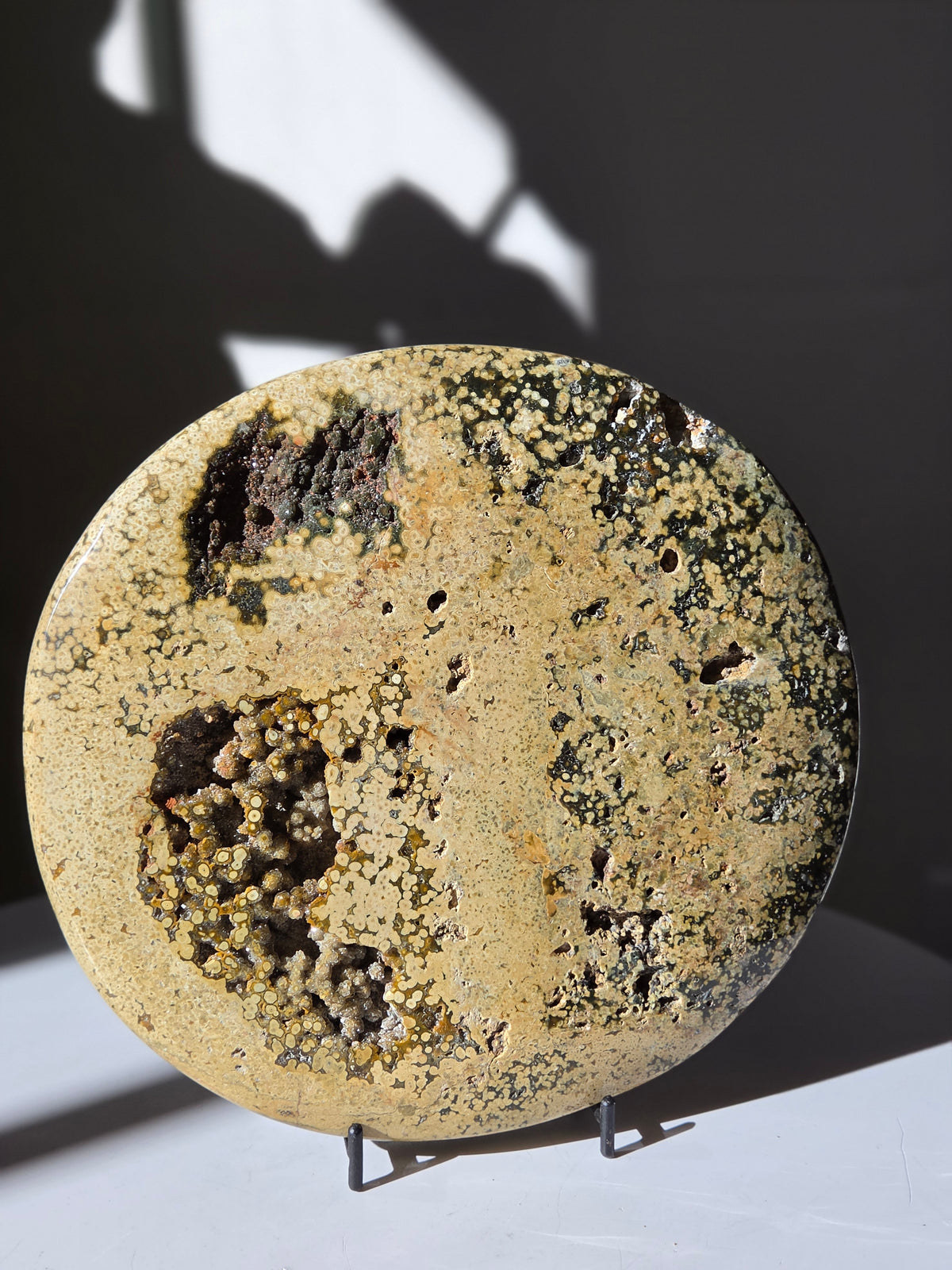 Sea Jasper Slab 013