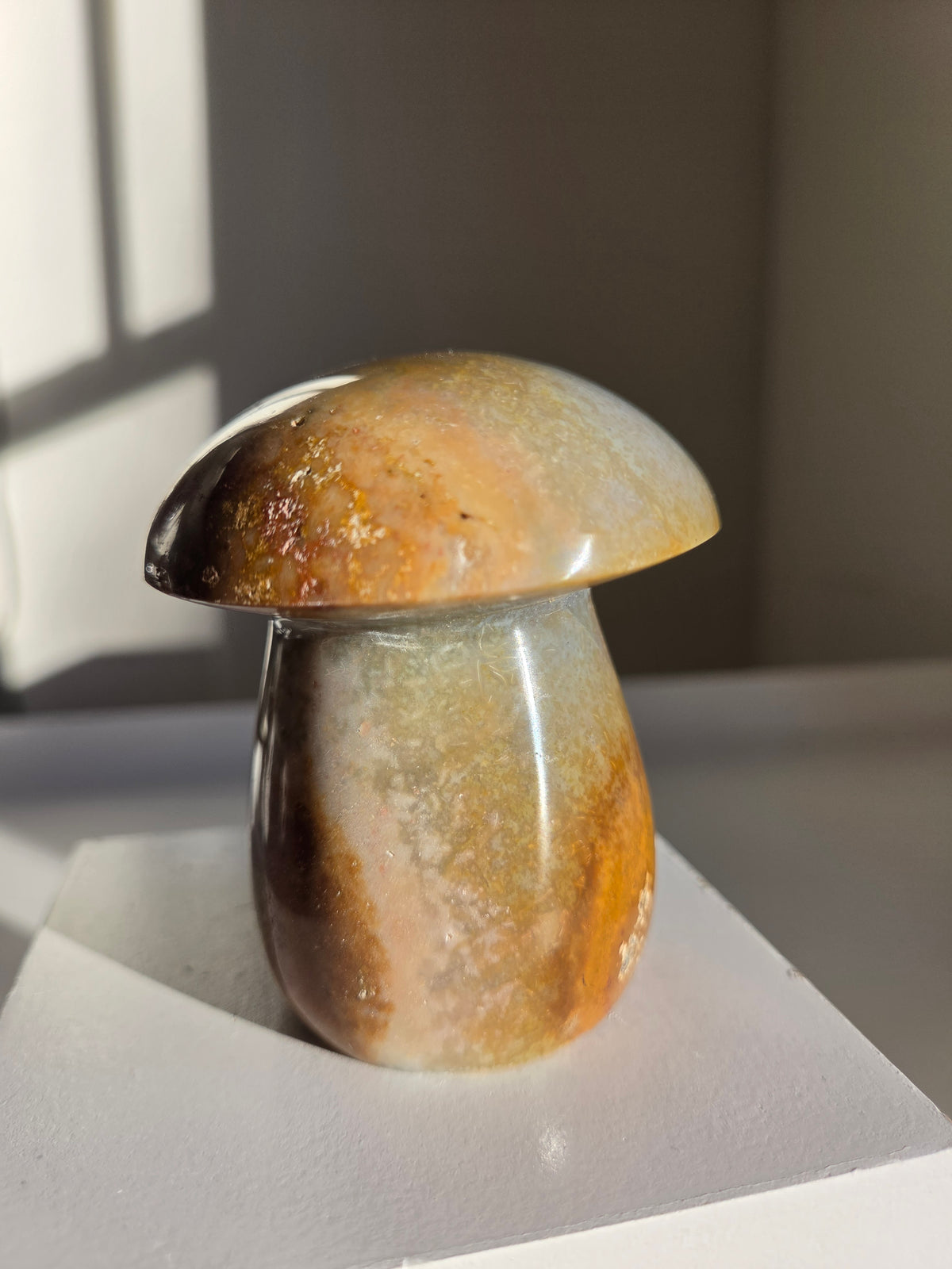 Sea Jasper Mushroom 005
