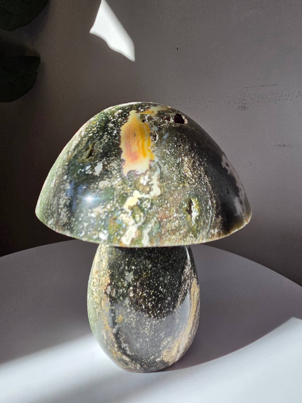 XL Sea Jasper Mushroom 001