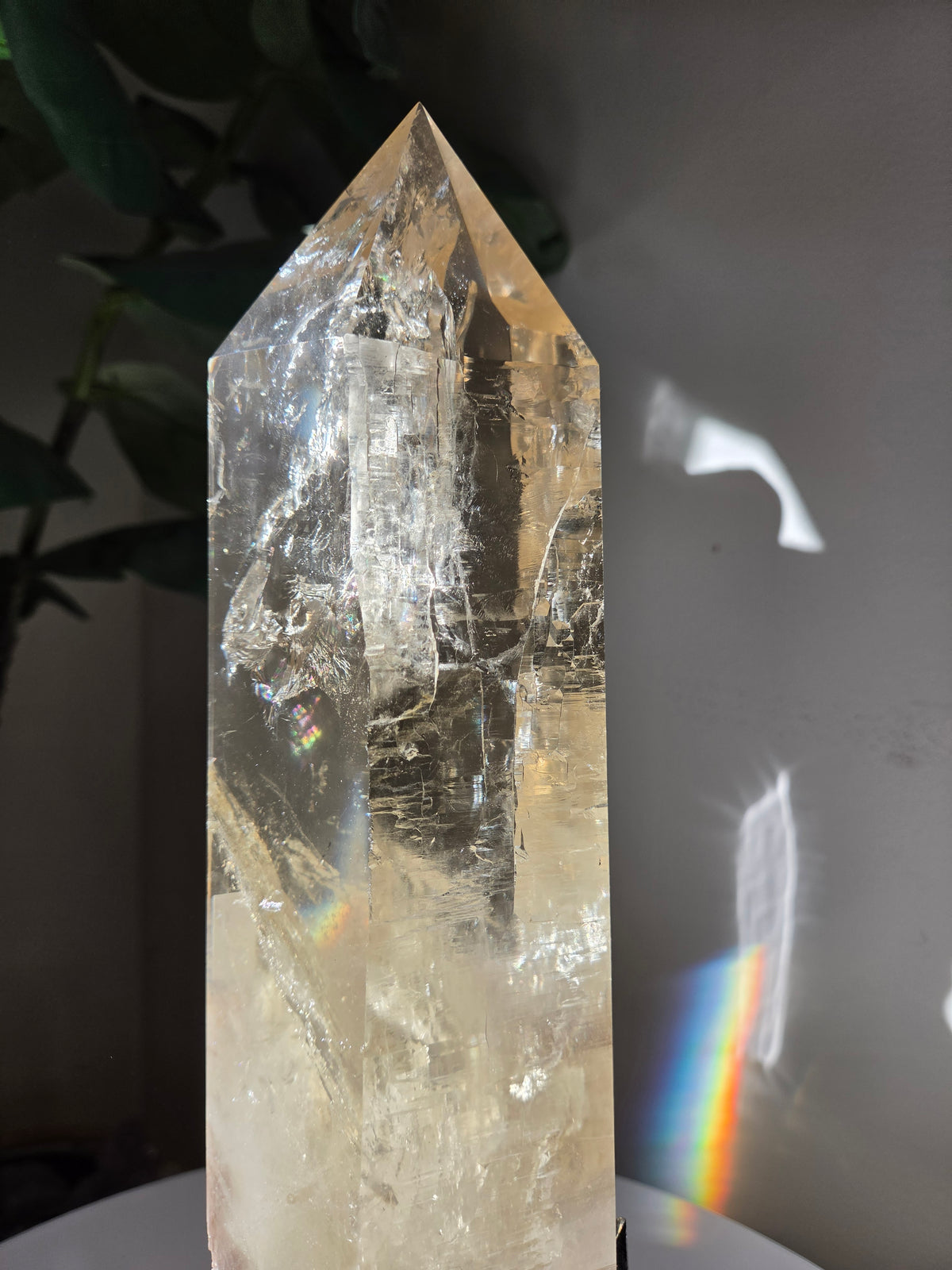 Semipolished Citrine Lemurian Statement