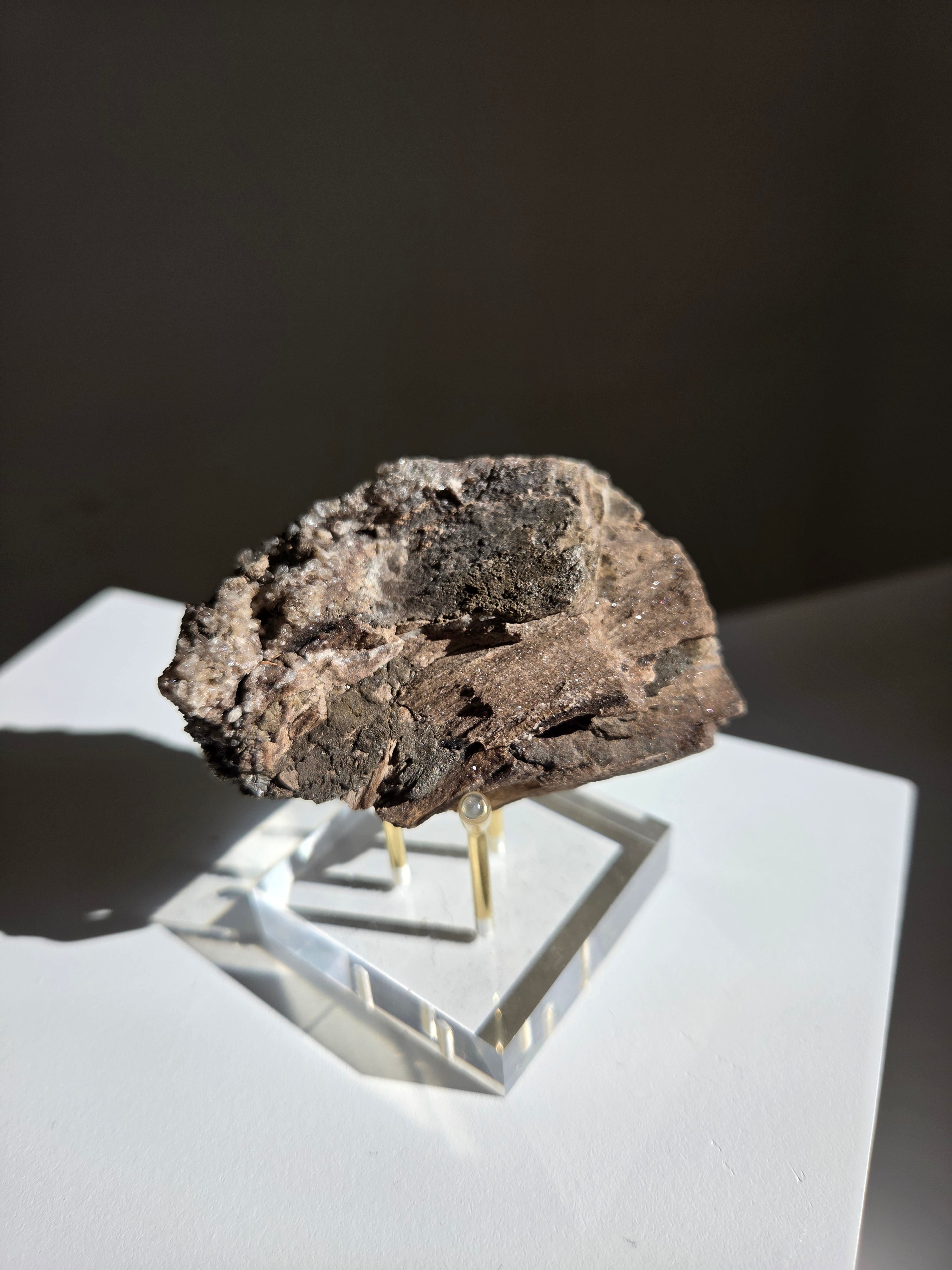 Permineralized Wood x Smoky Quartz 001