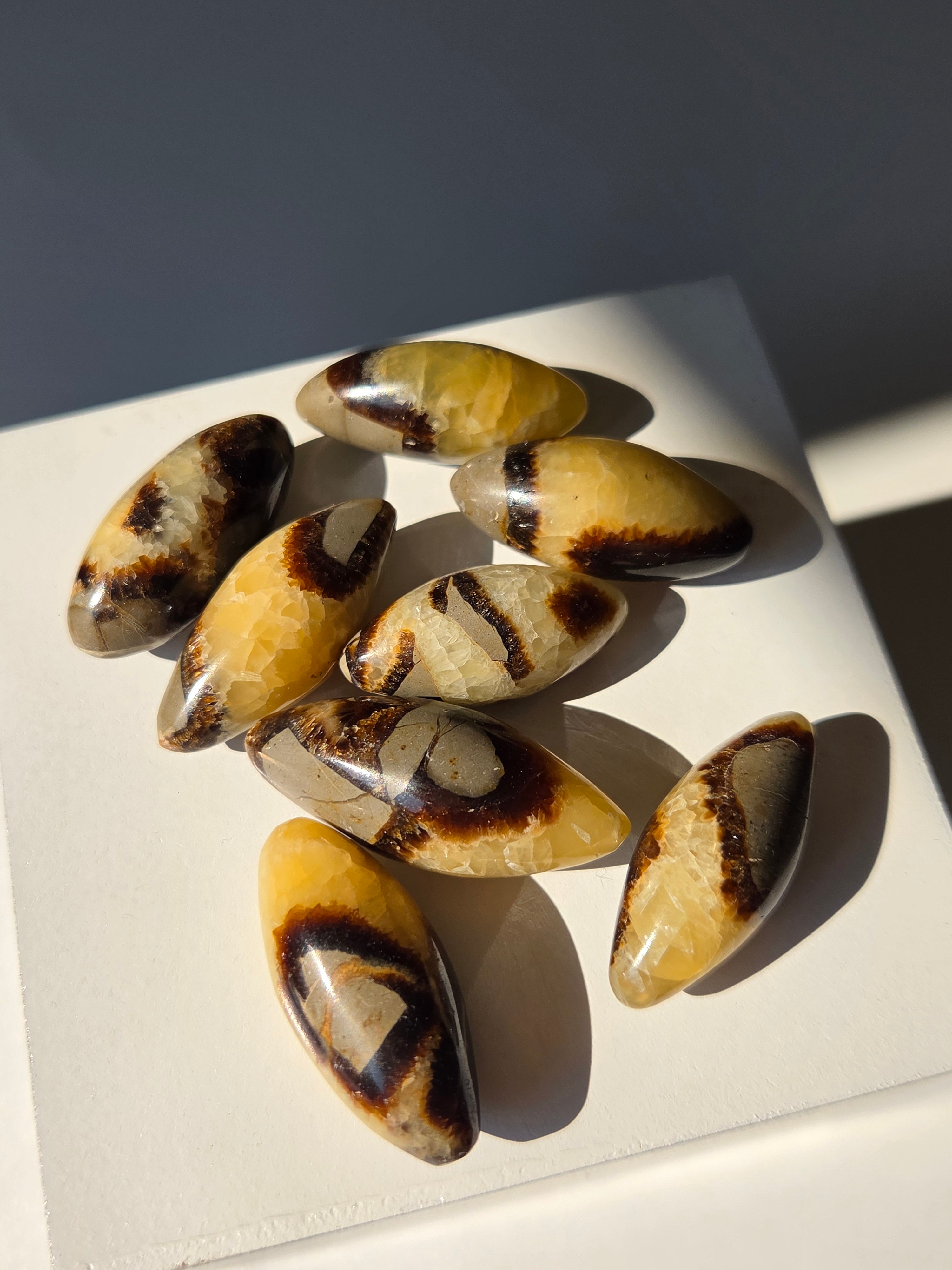 Septarian Mini Shiva