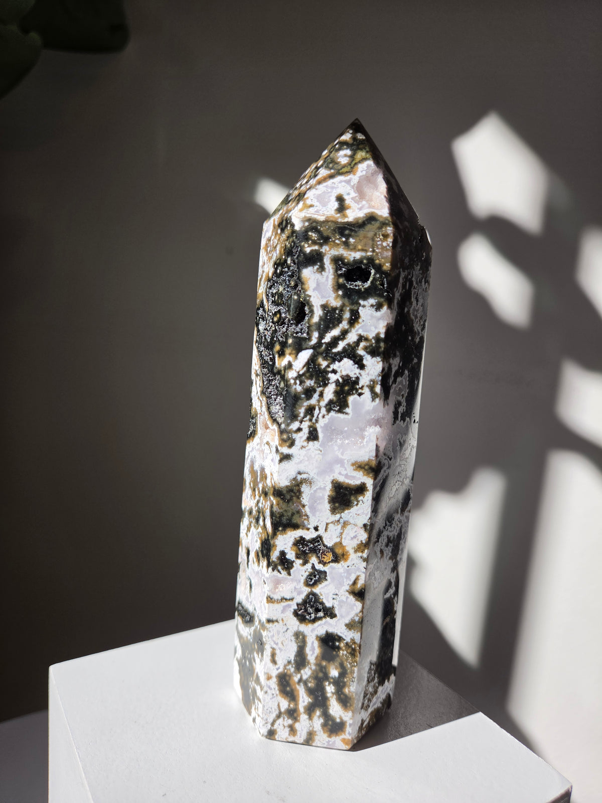 Sea Jasper Tower 004