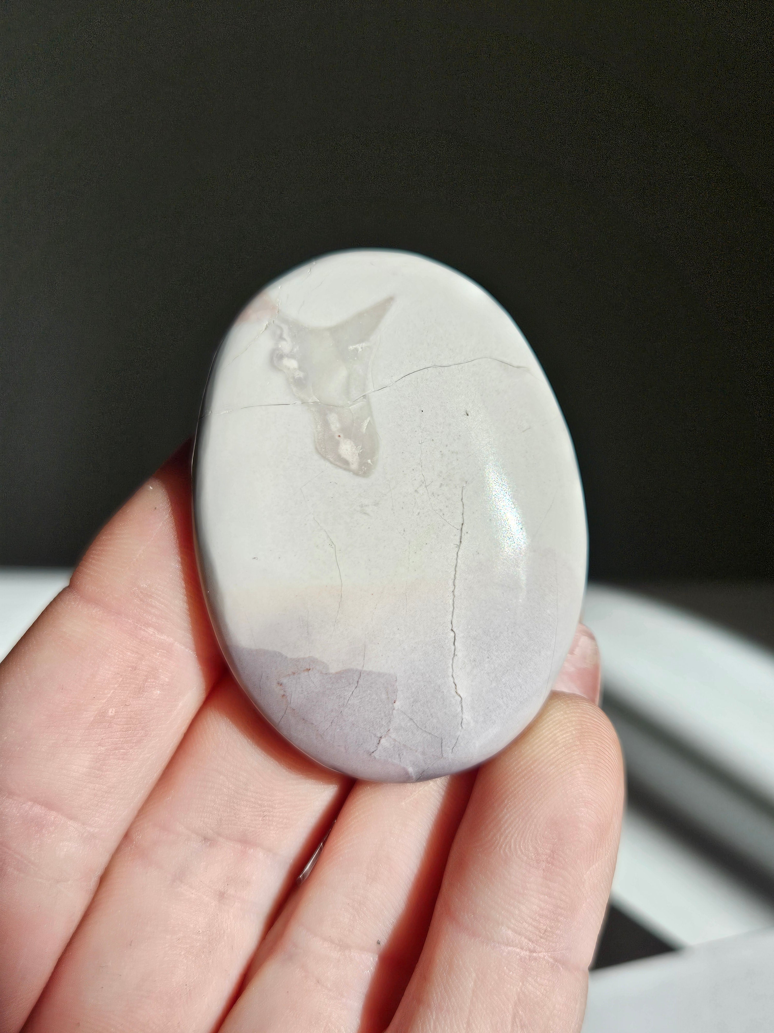 Hyacinth jasper palm 001