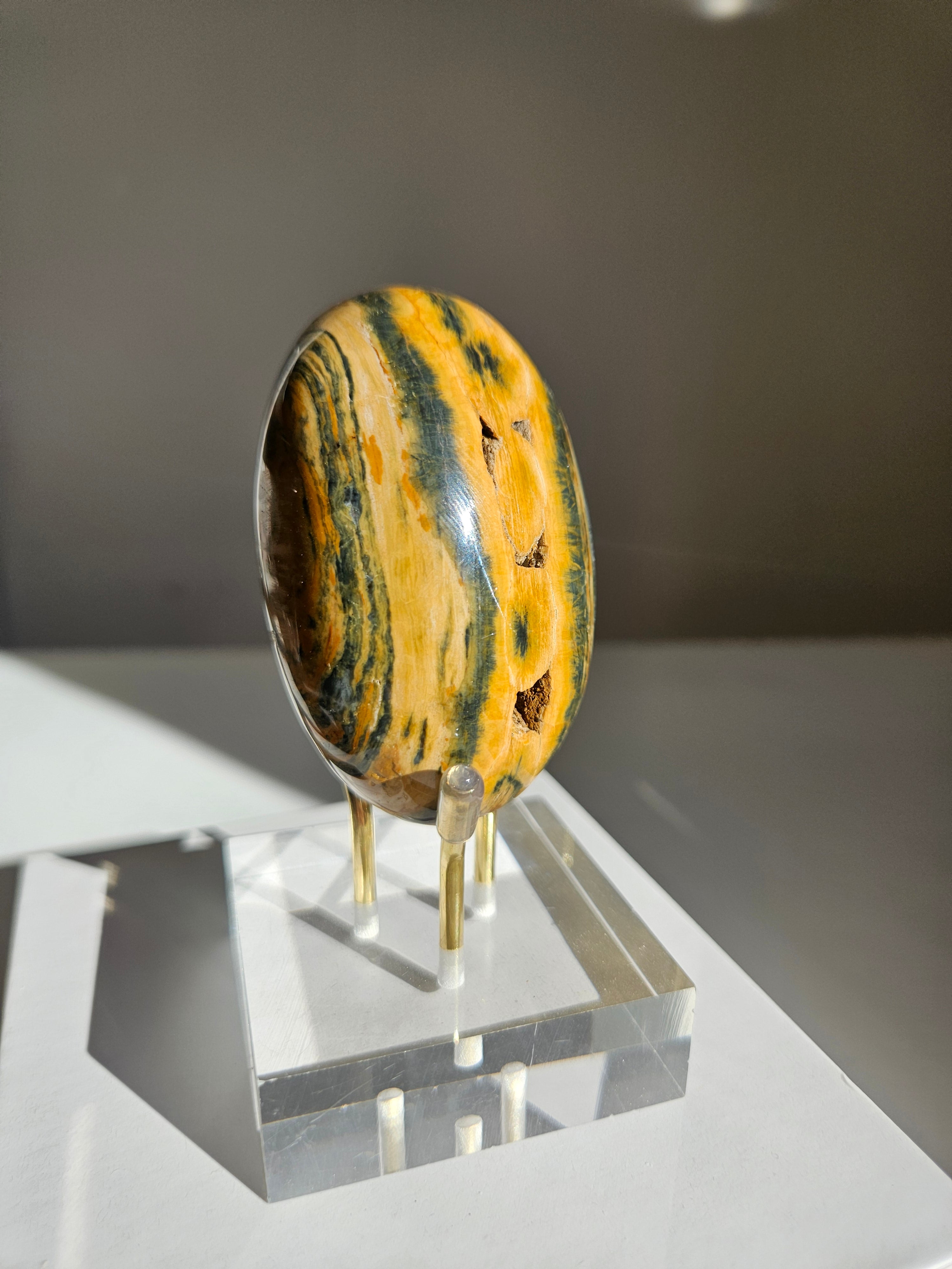 Sea Jasper Palmstone 029