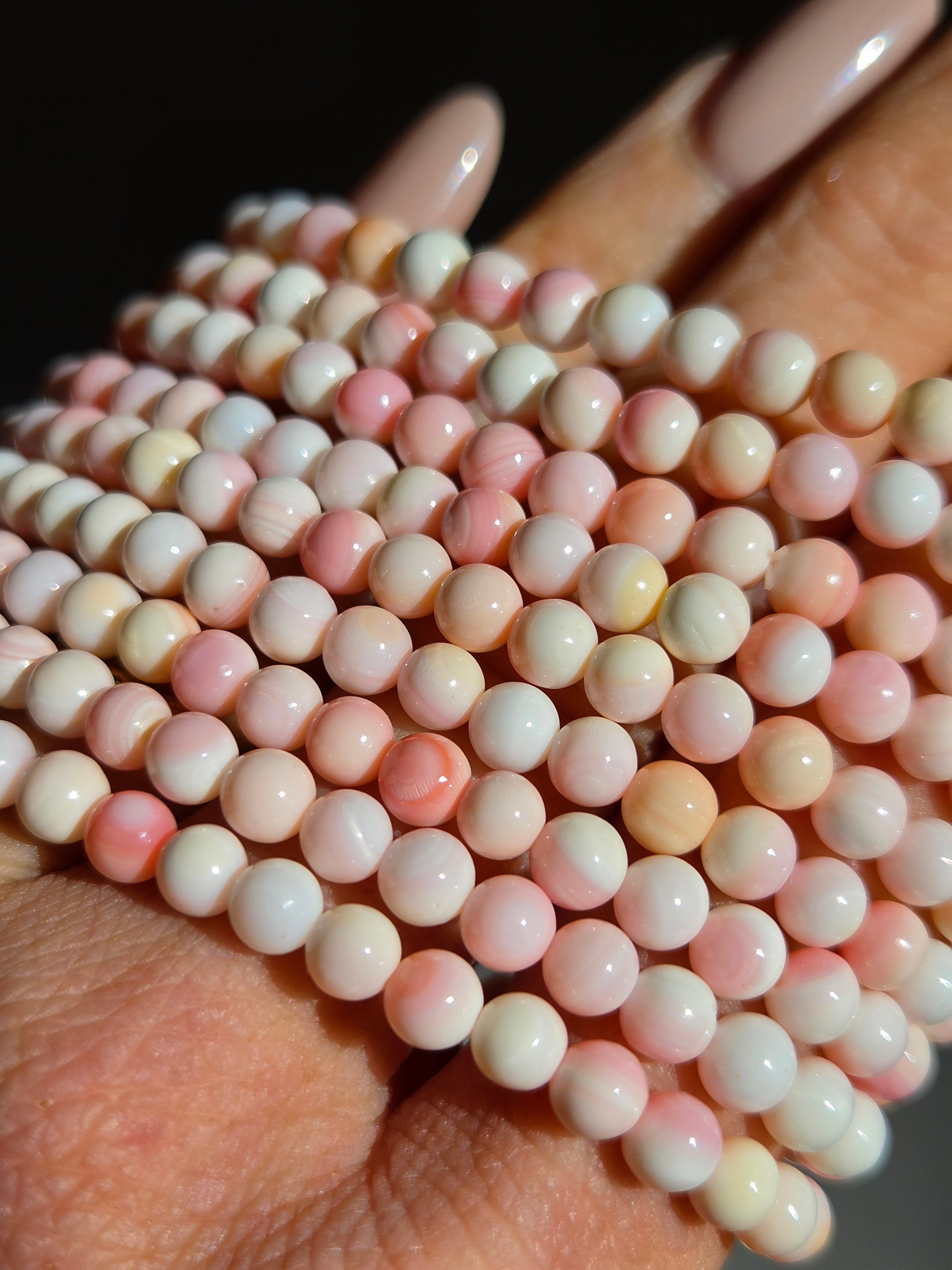 Pink Conch Shell bracelet | 5.5mm