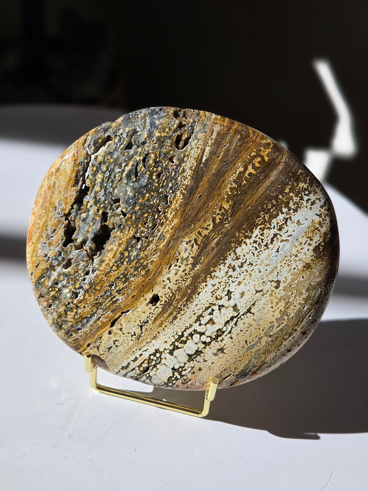 Sea Jasper Slab 009