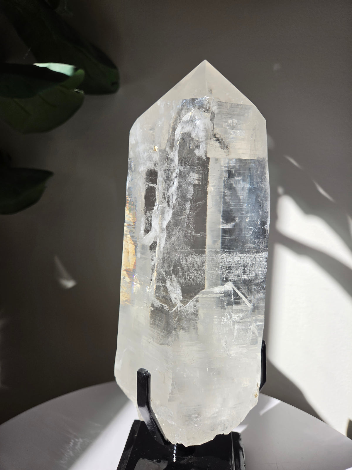 Semipolished Lemurian Quartz Statement