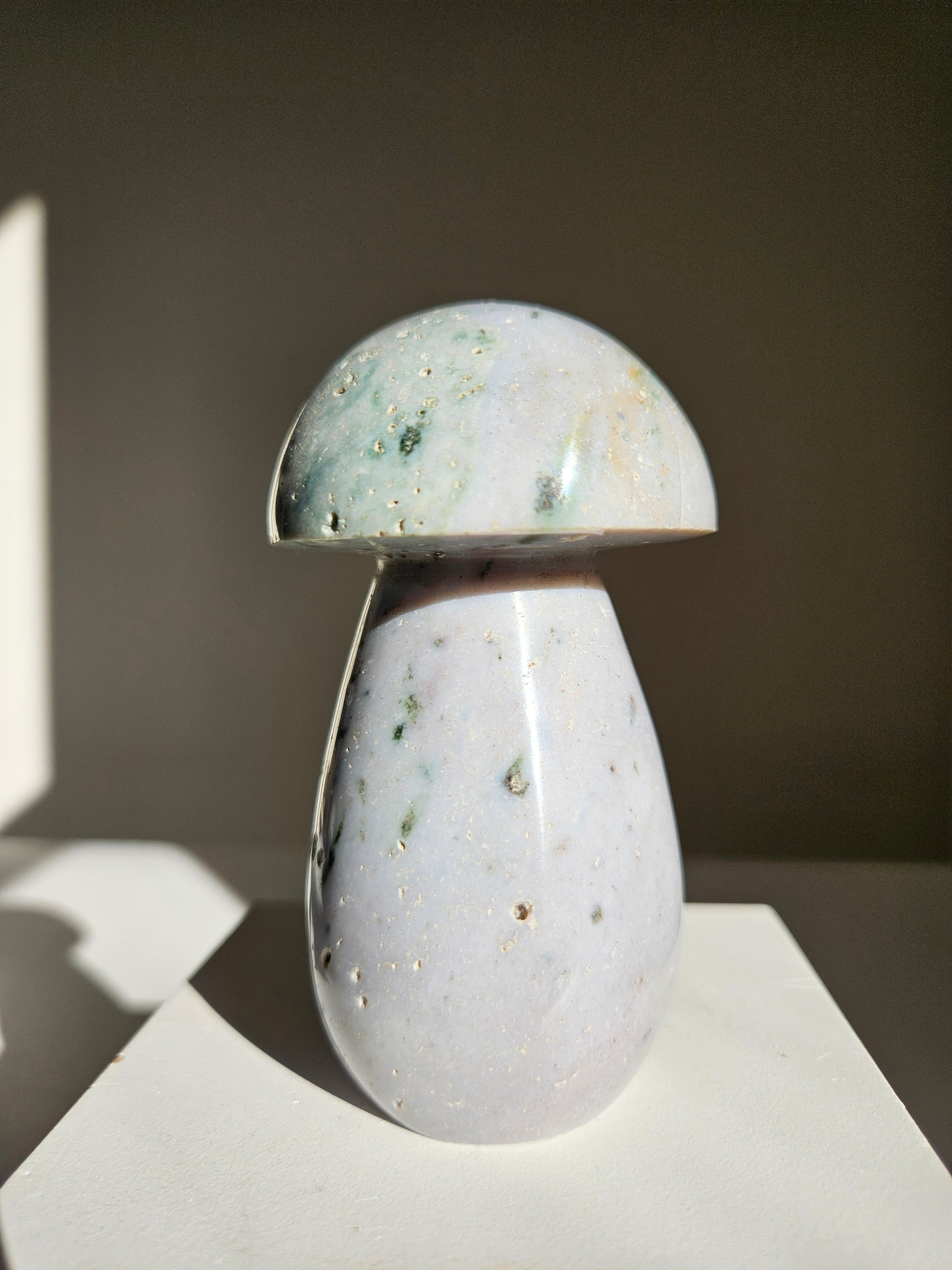 Sea jasper mushroom 006