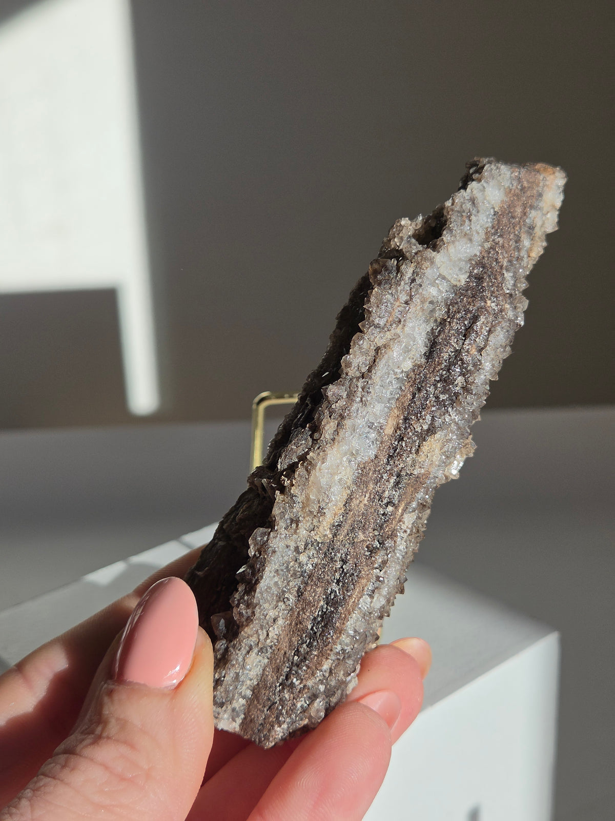 Smoky Quartz on Fossilized Wood 004