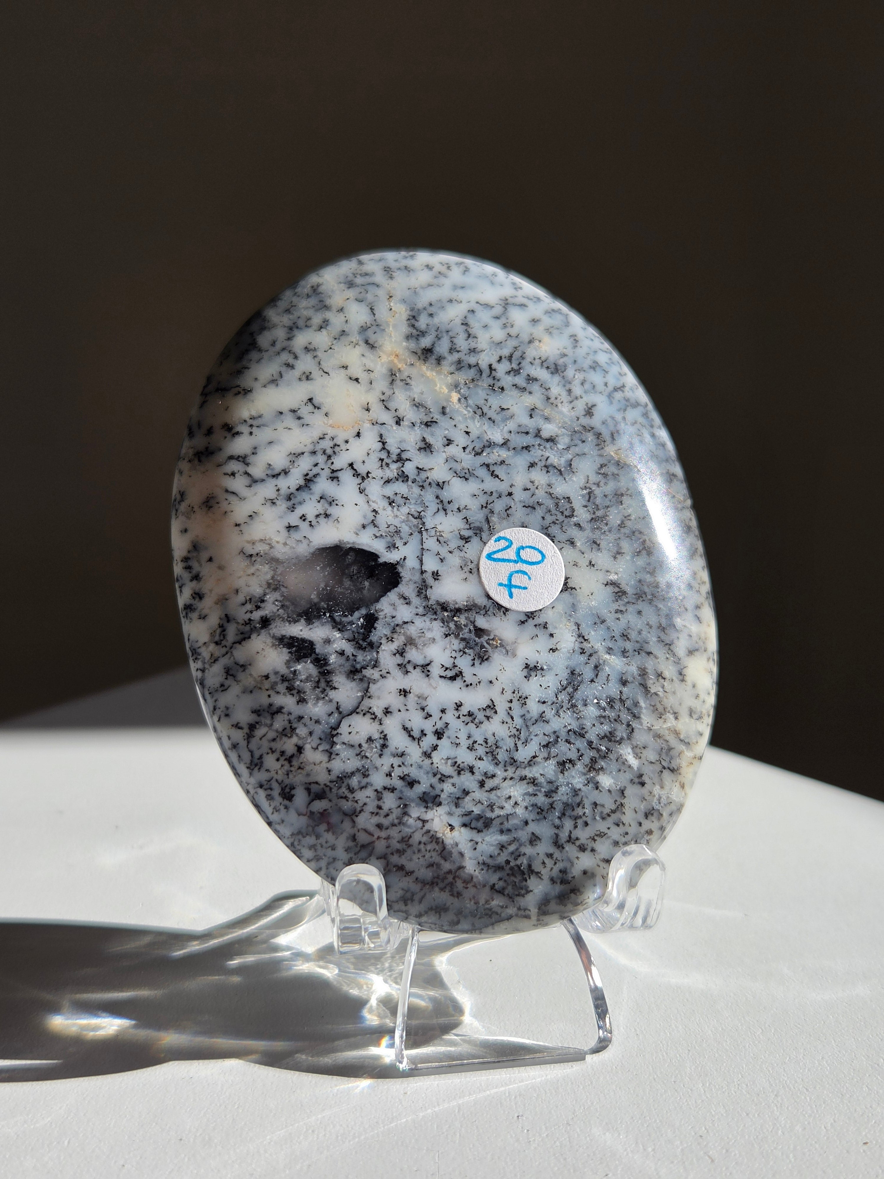 Dendritic Opal Palm 006