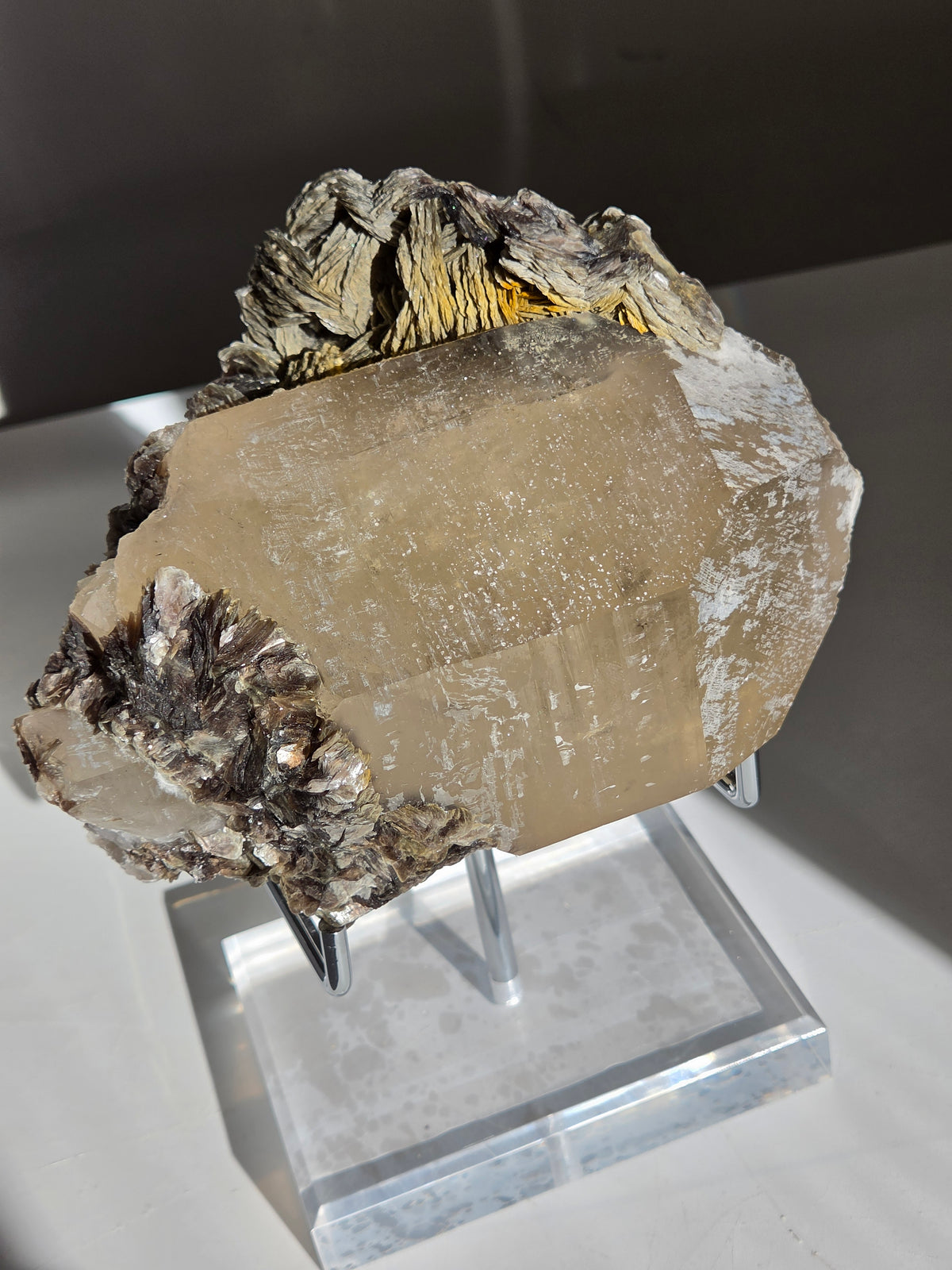 Quartz x Golden Mica on stand 009