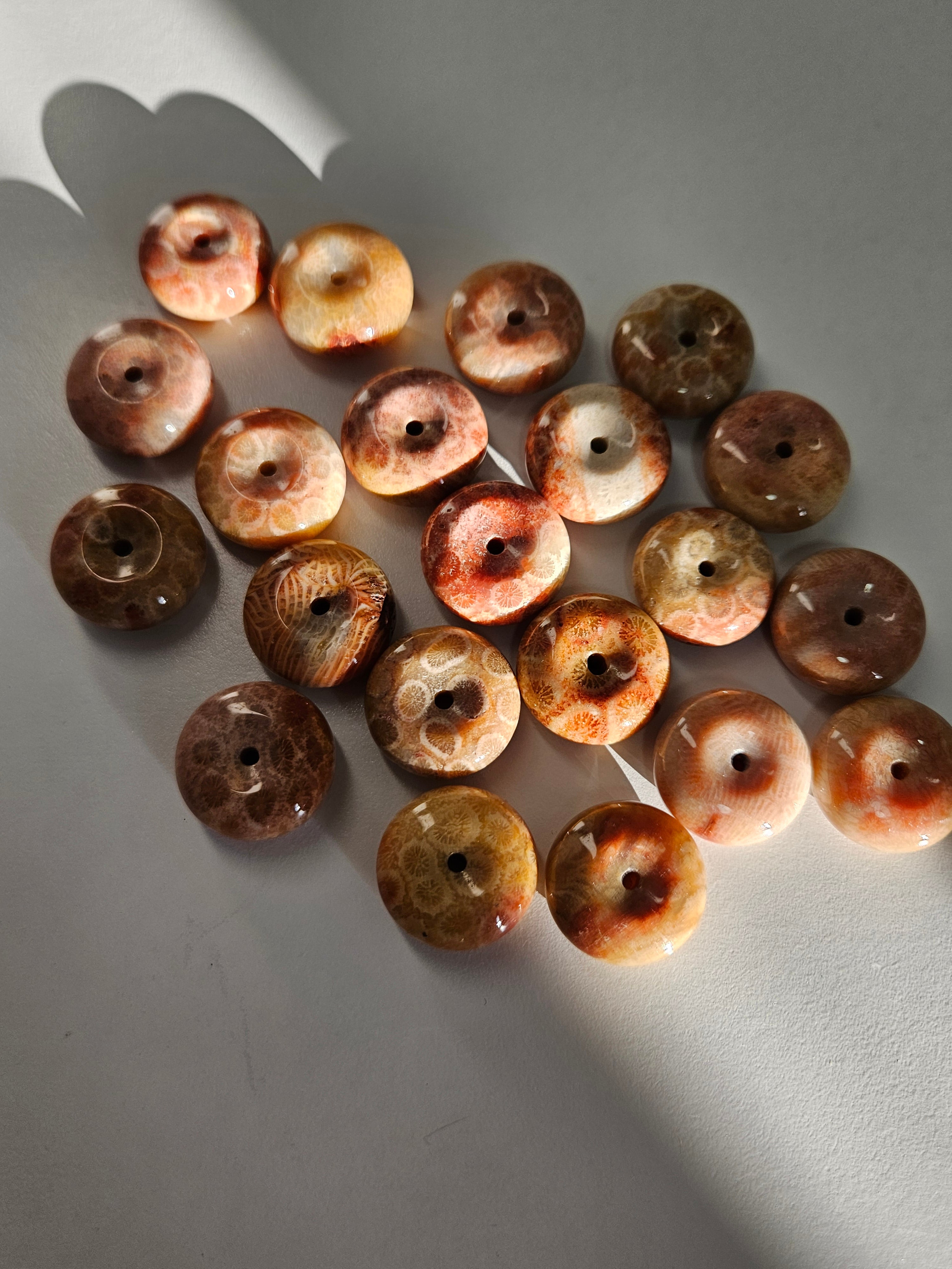 Fossilized Coral Sphere Stands