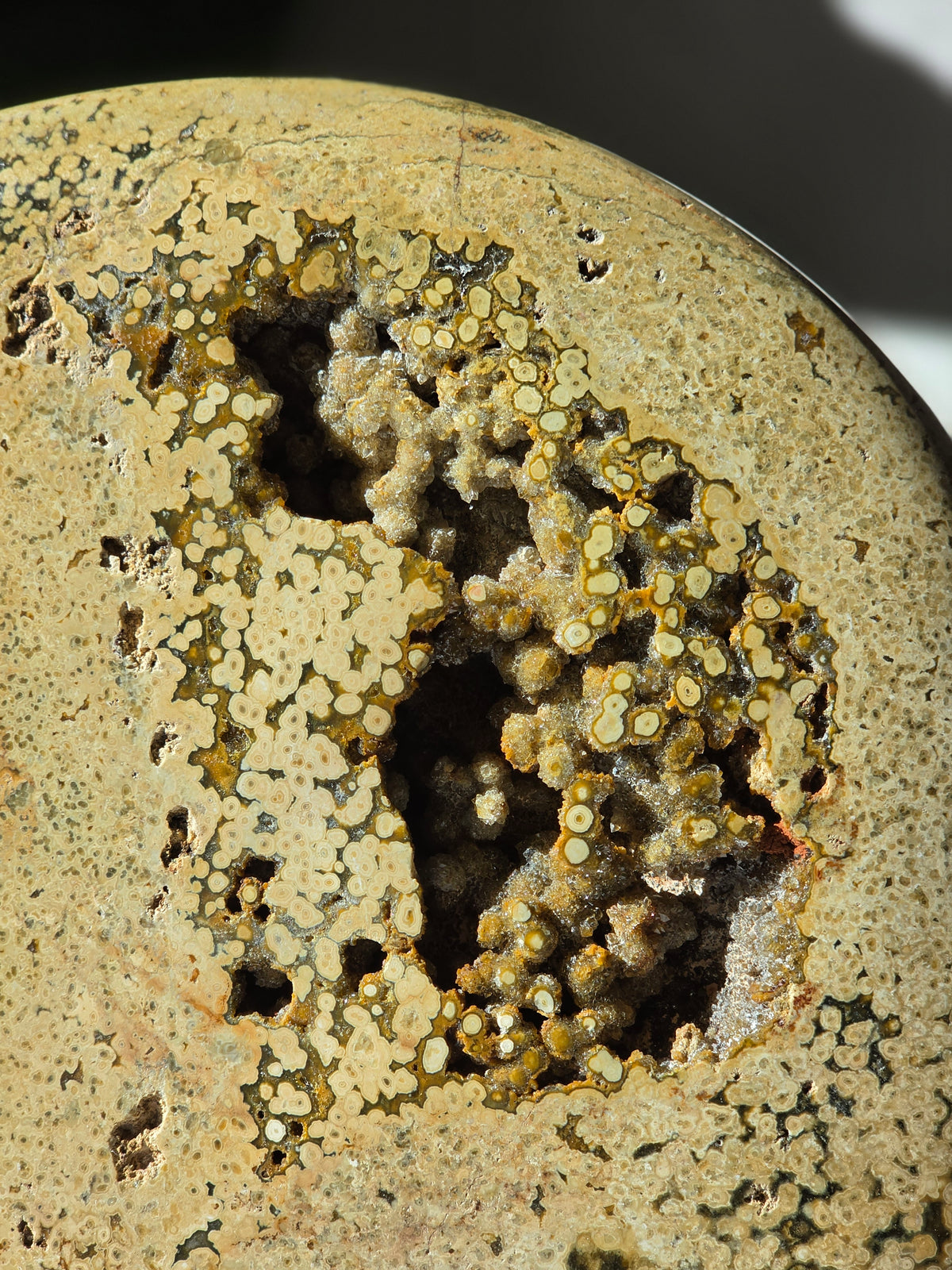 Sea Jasper Slab 013