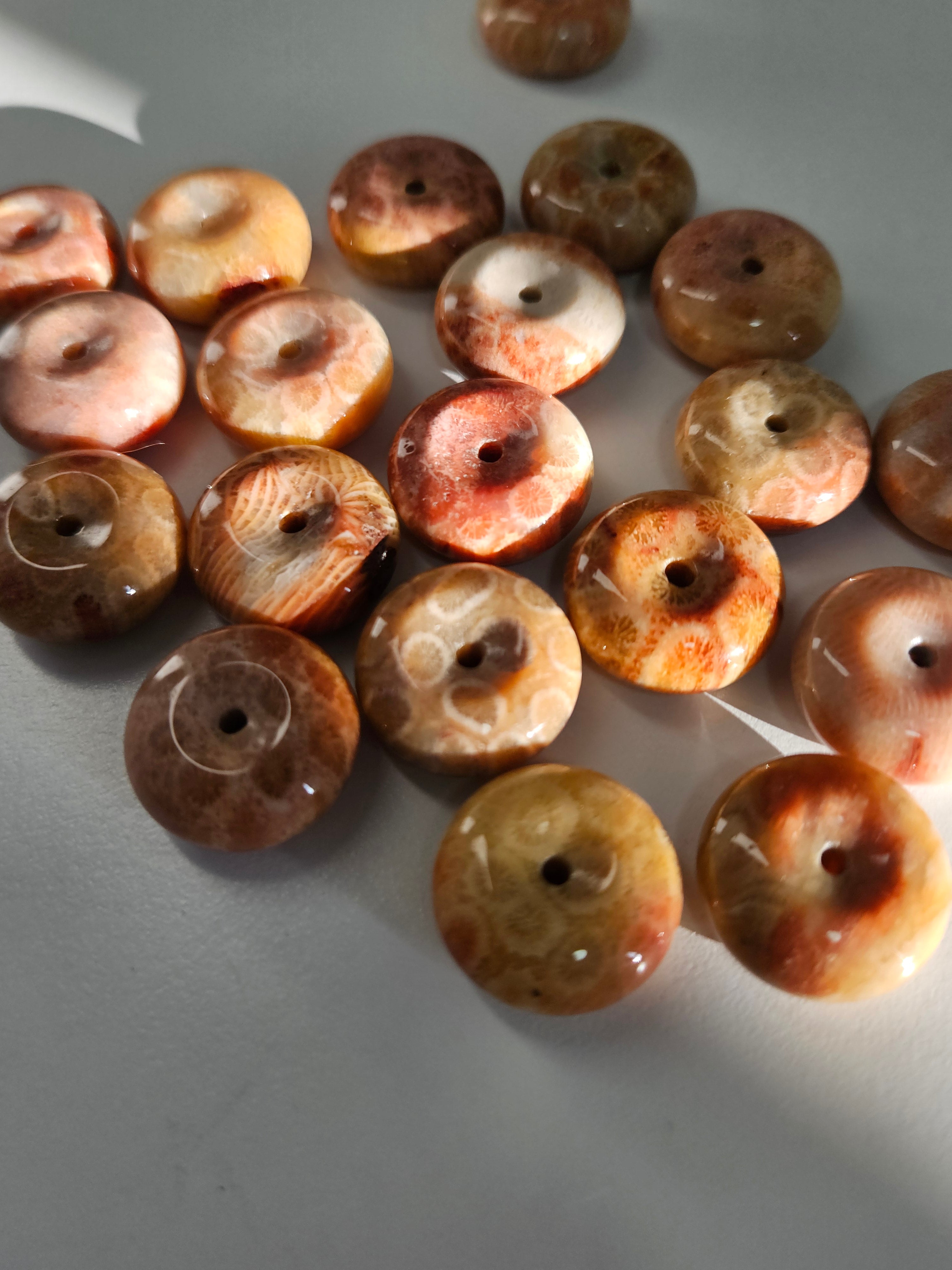 Fossilized Coral Sphere Stands