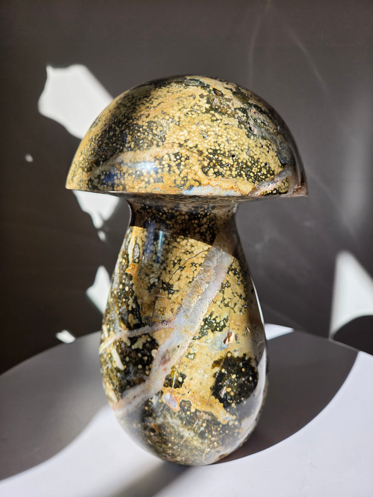 XL Sea Jasper Mushroom 003