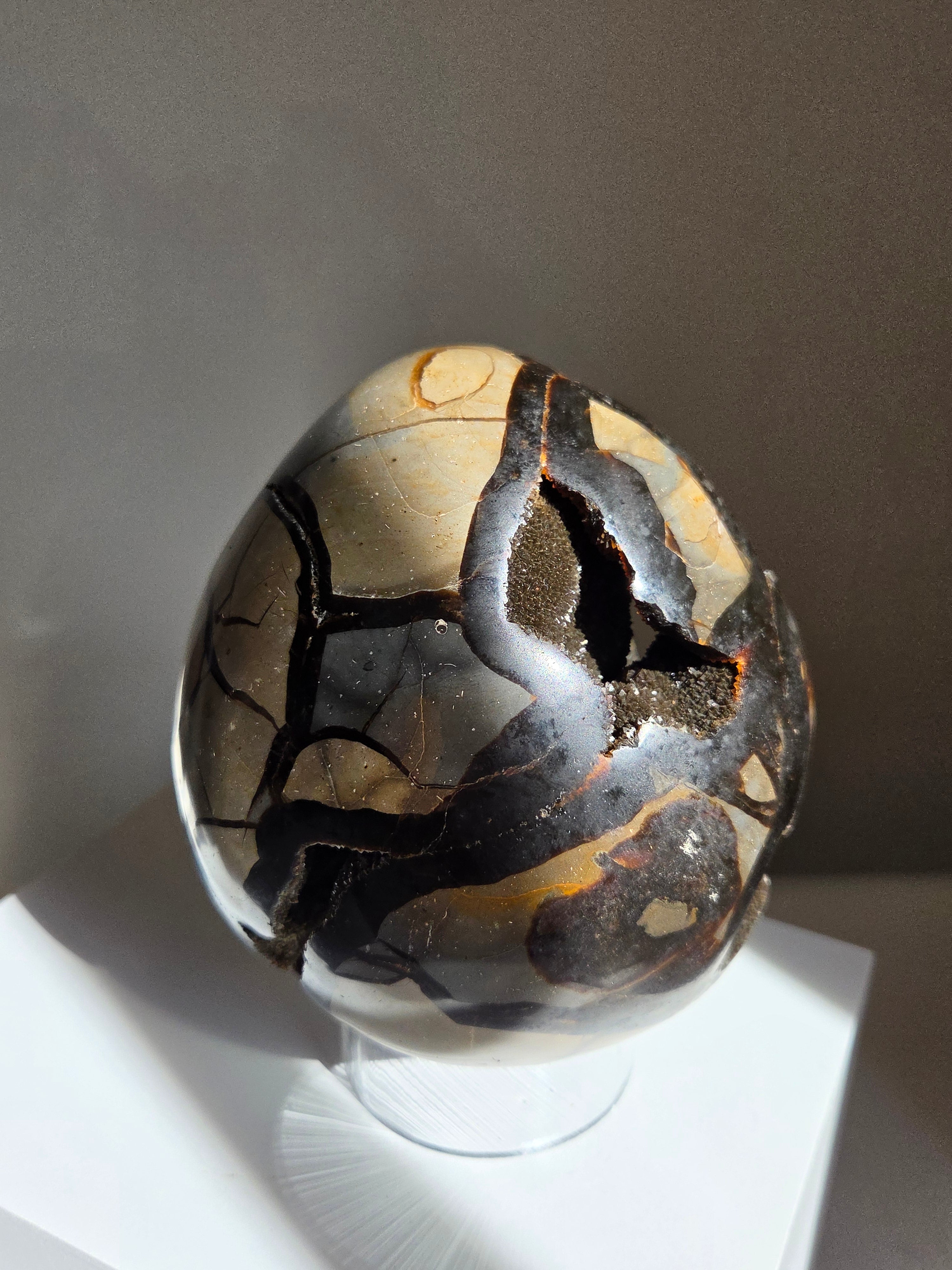 Septarian Egg 002