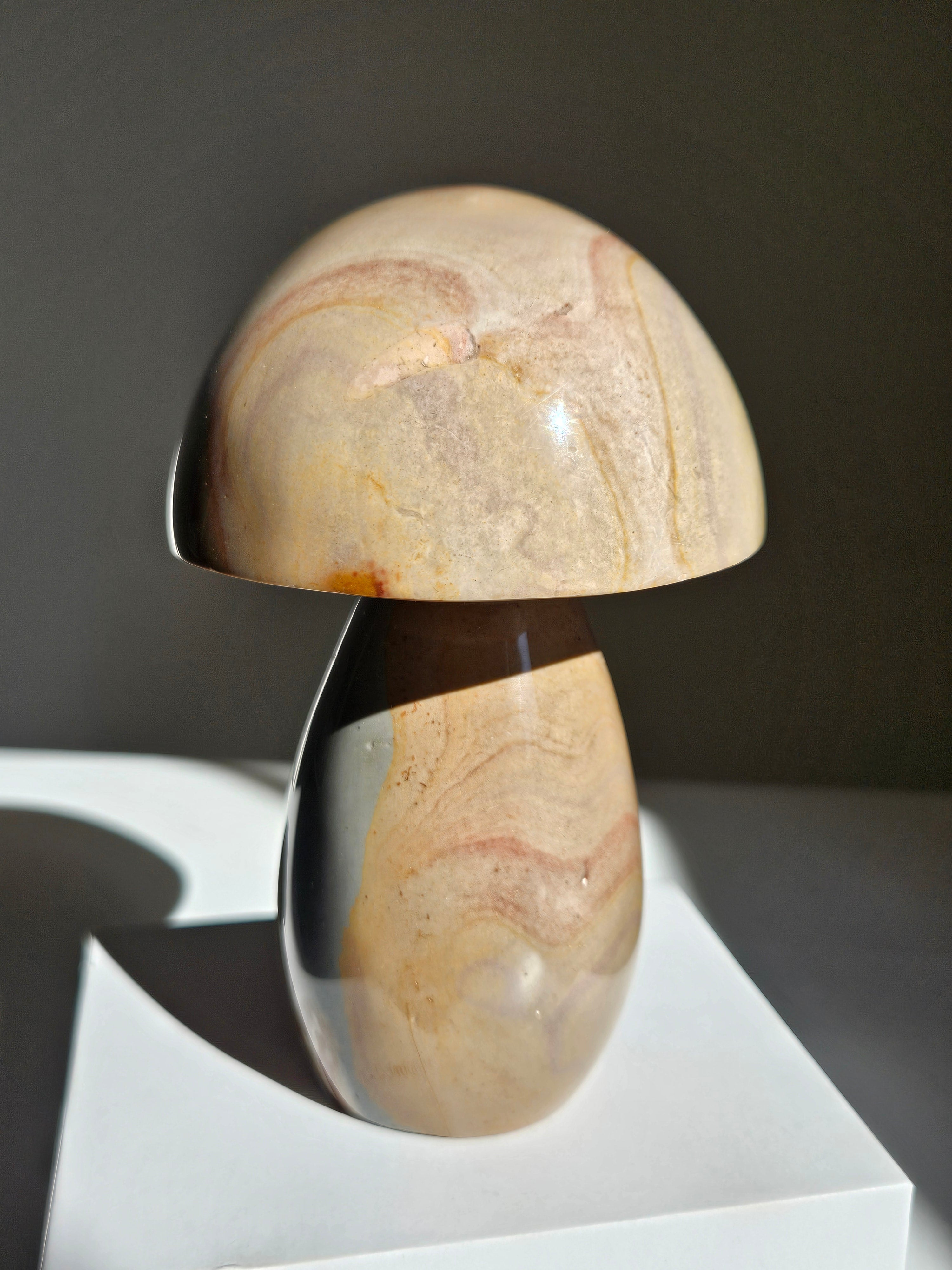 Polychrome Jasper Mushroom 007