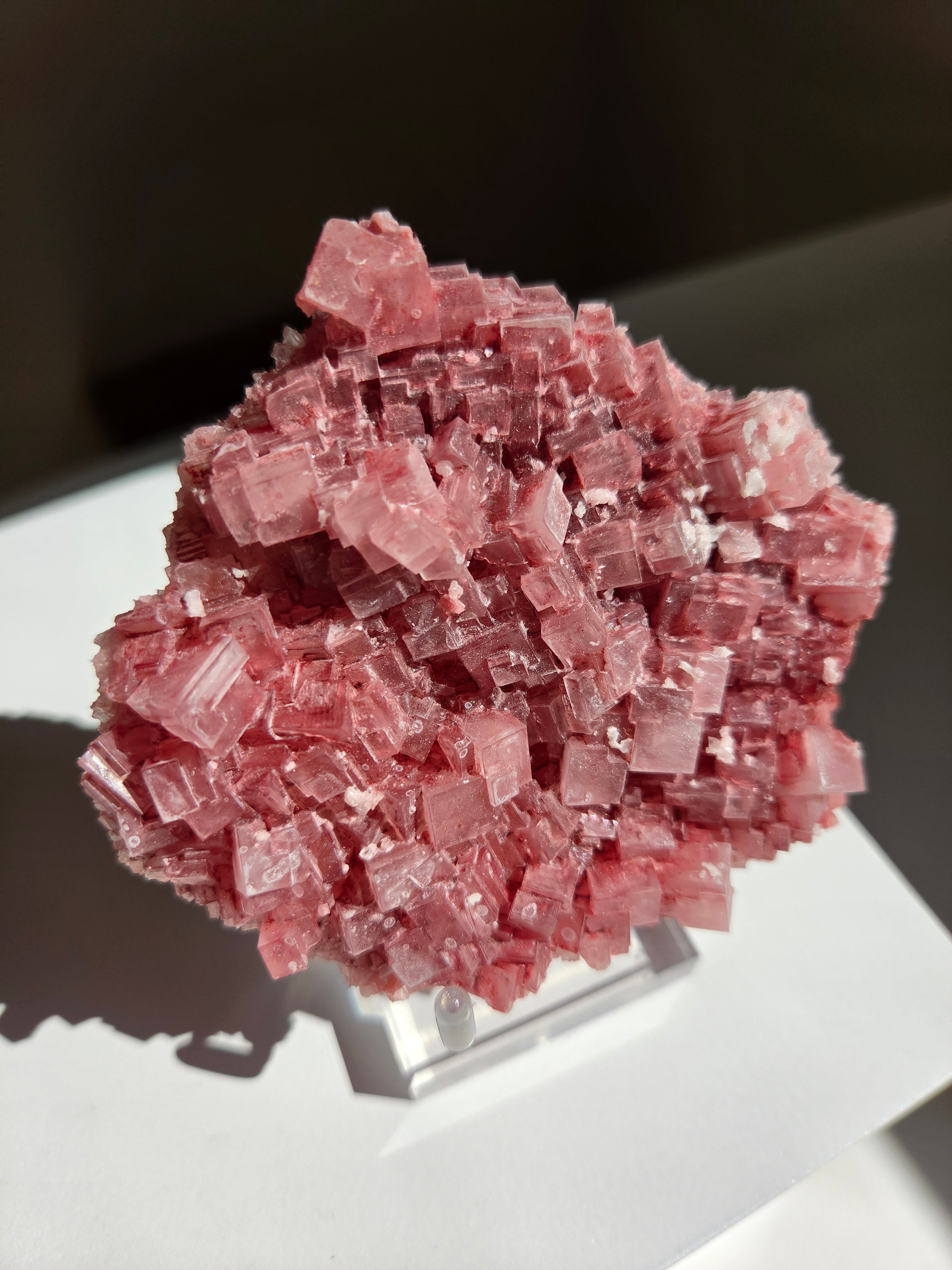 Pink Halite 004