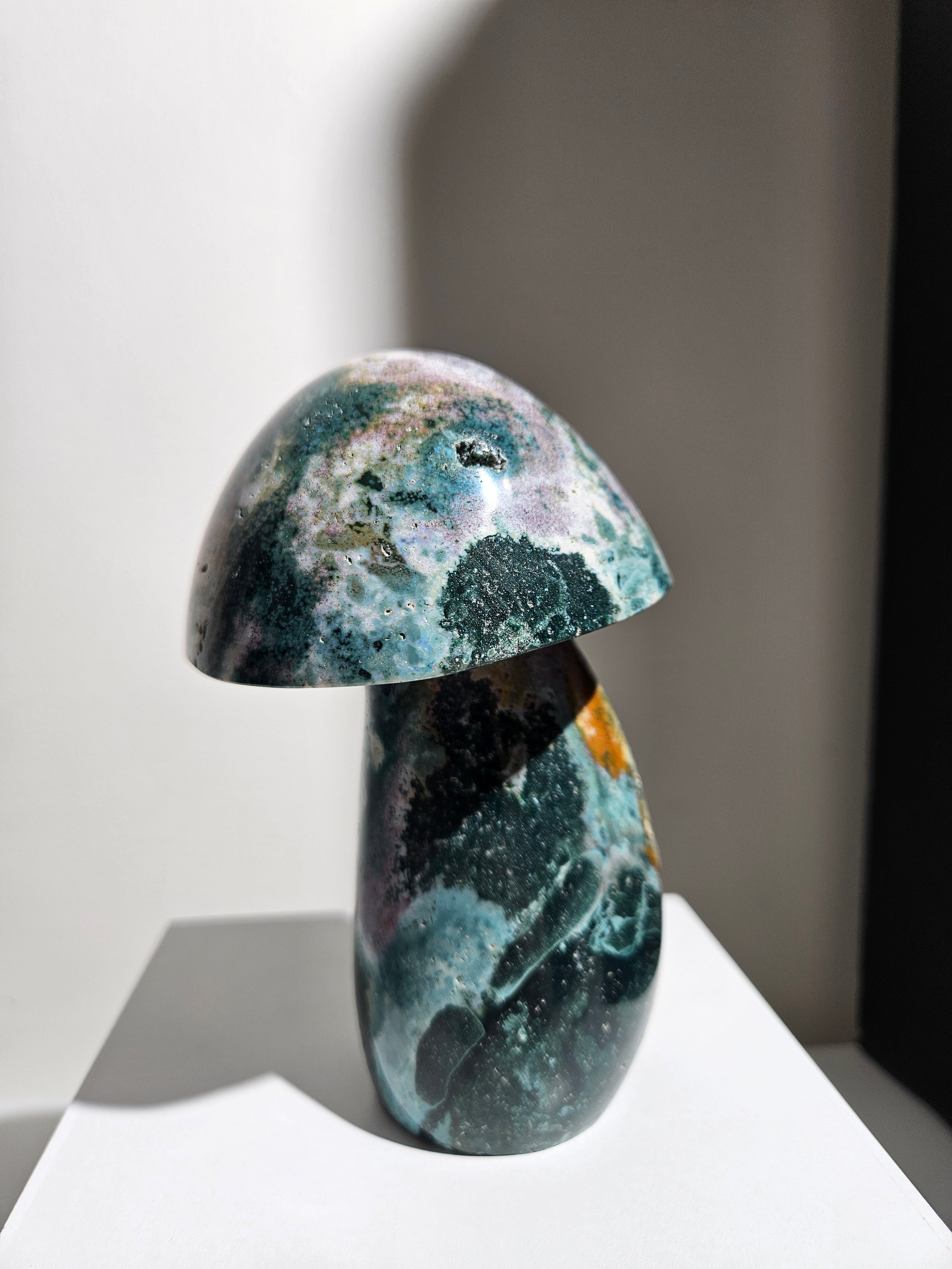 Sea Jasper Mushroom 010