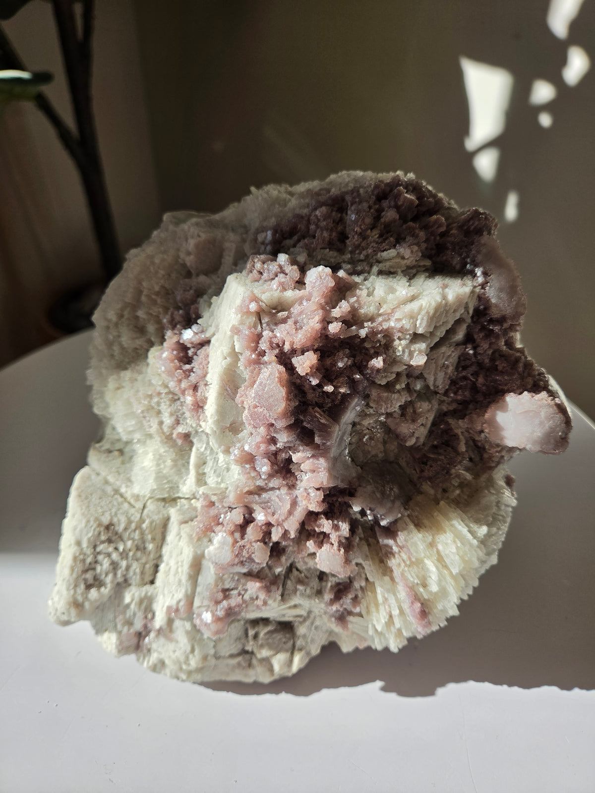 Raw Lepidolite Statement