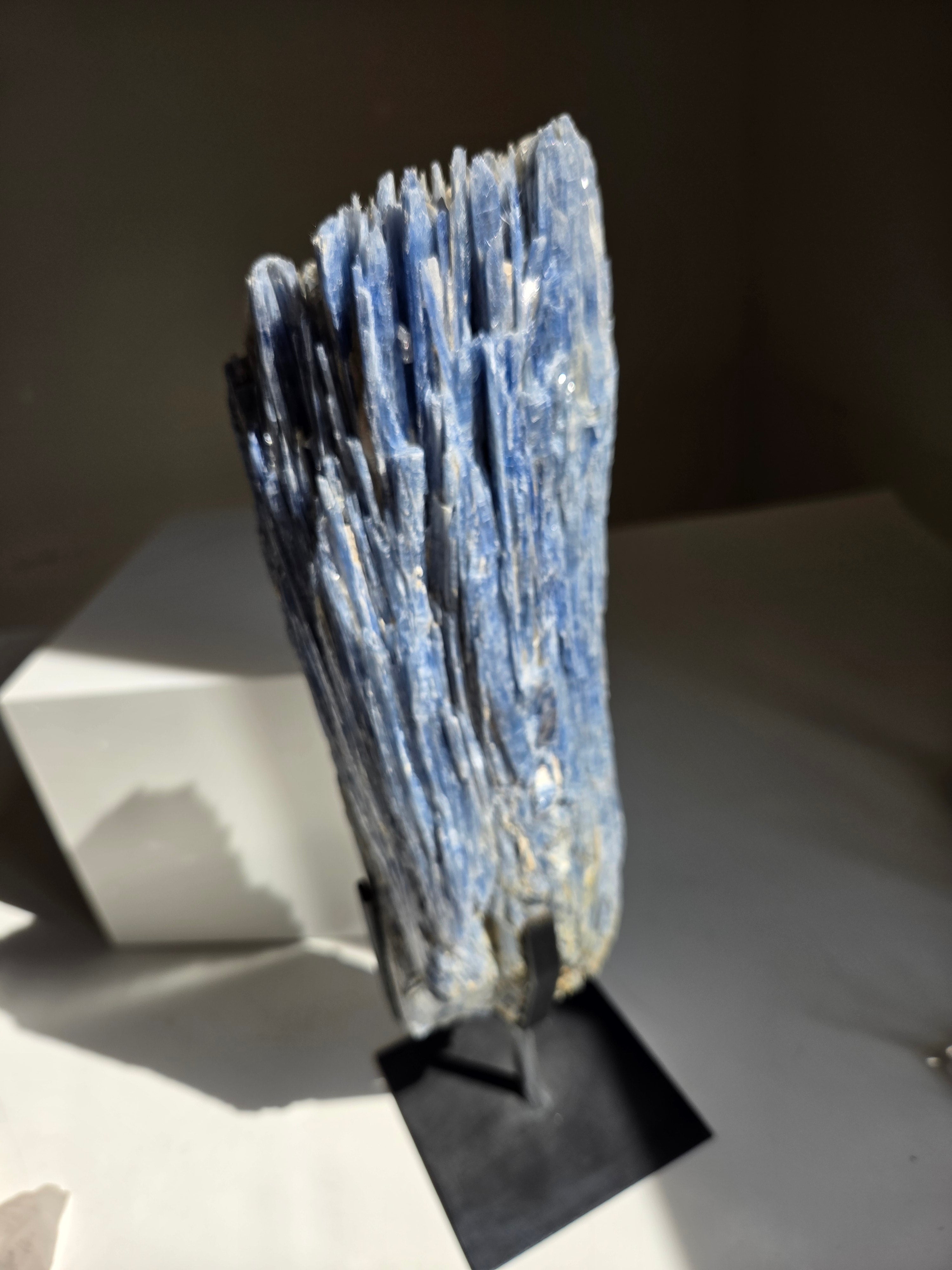 Blue Kyanite Statement 002