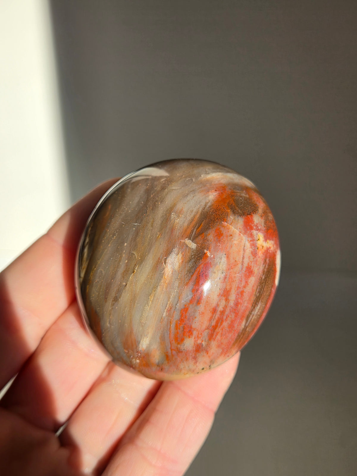Petrified Wood Palmstone 003