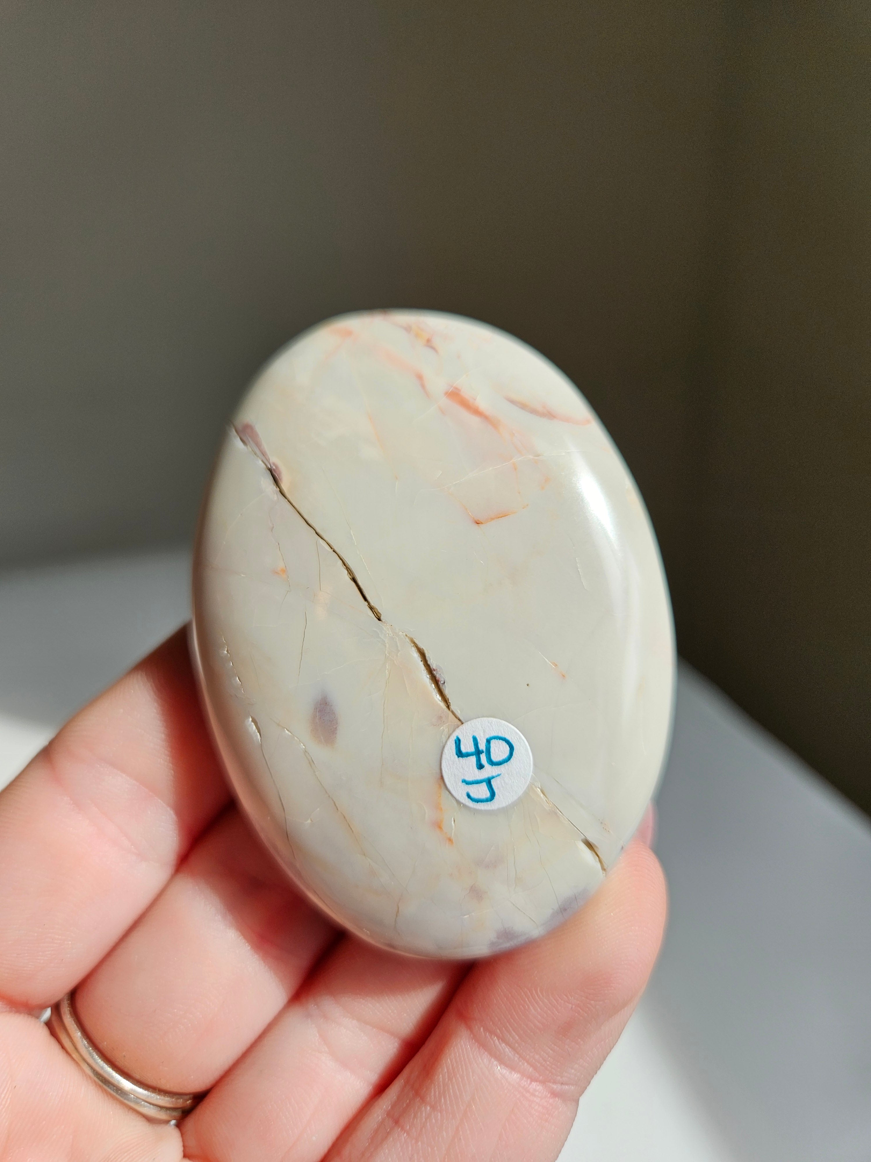 Hyacinth jasper palm 008