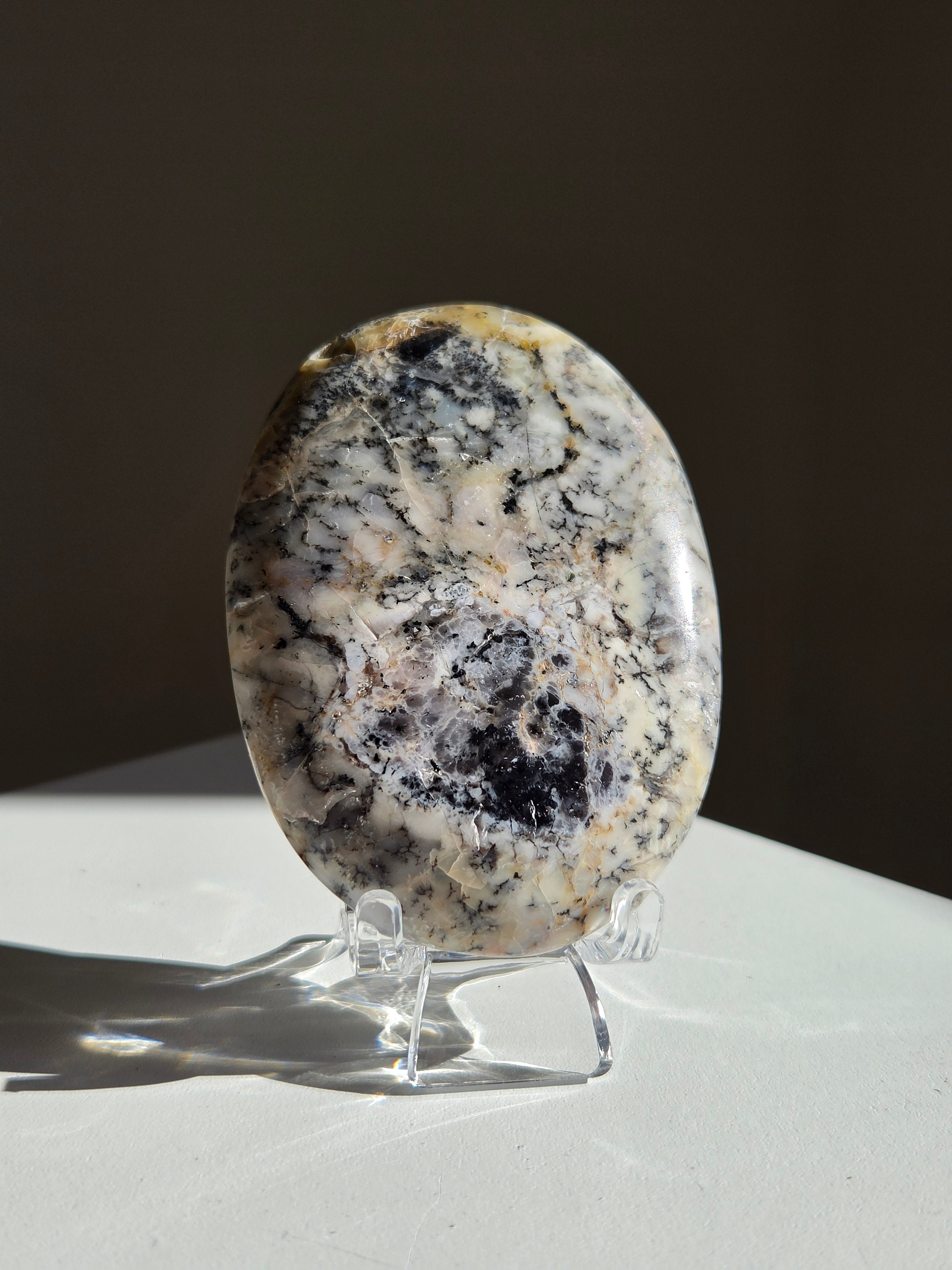 Dendritic Opal Palm 007
