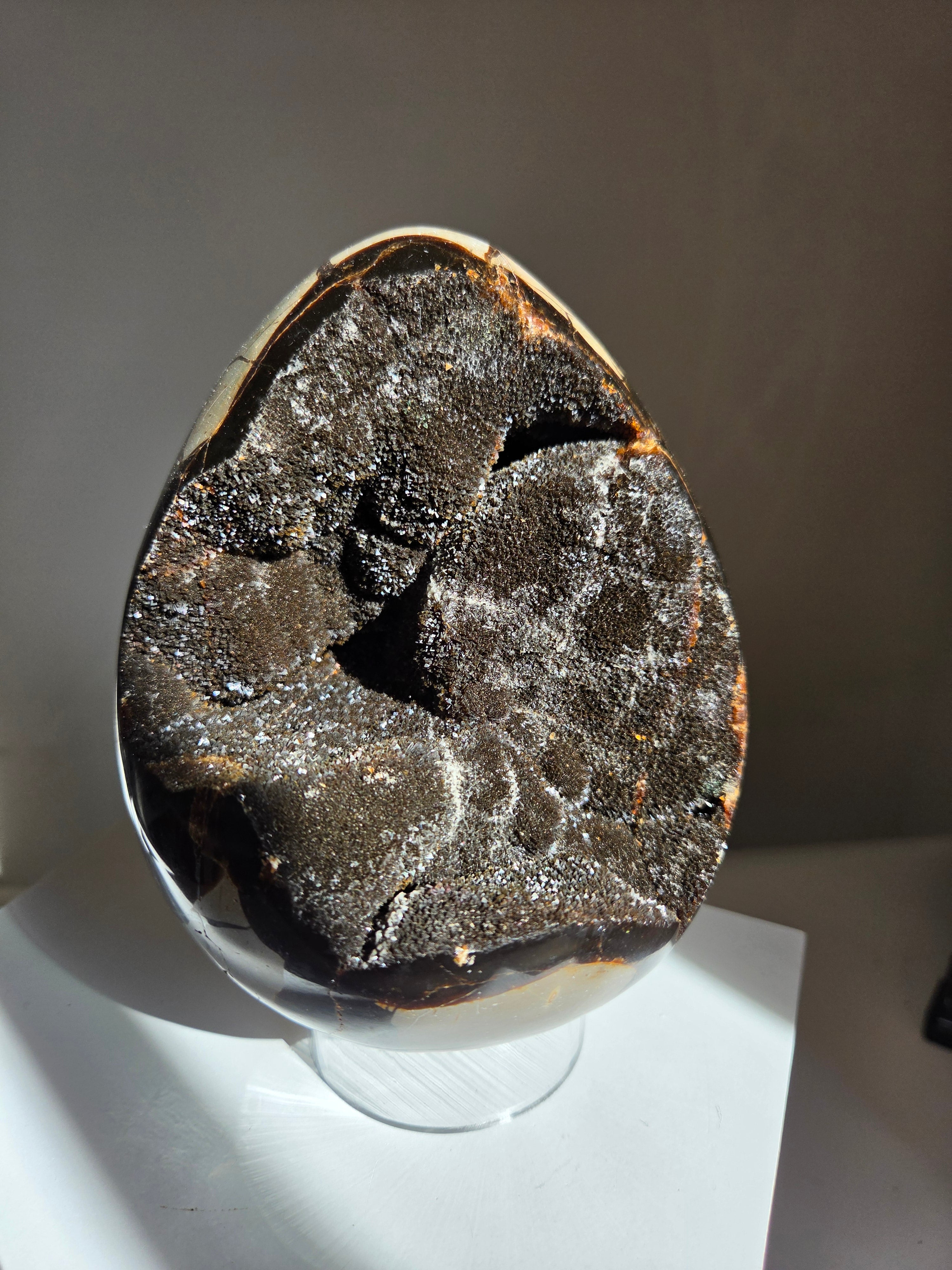 Septarian Egg 001