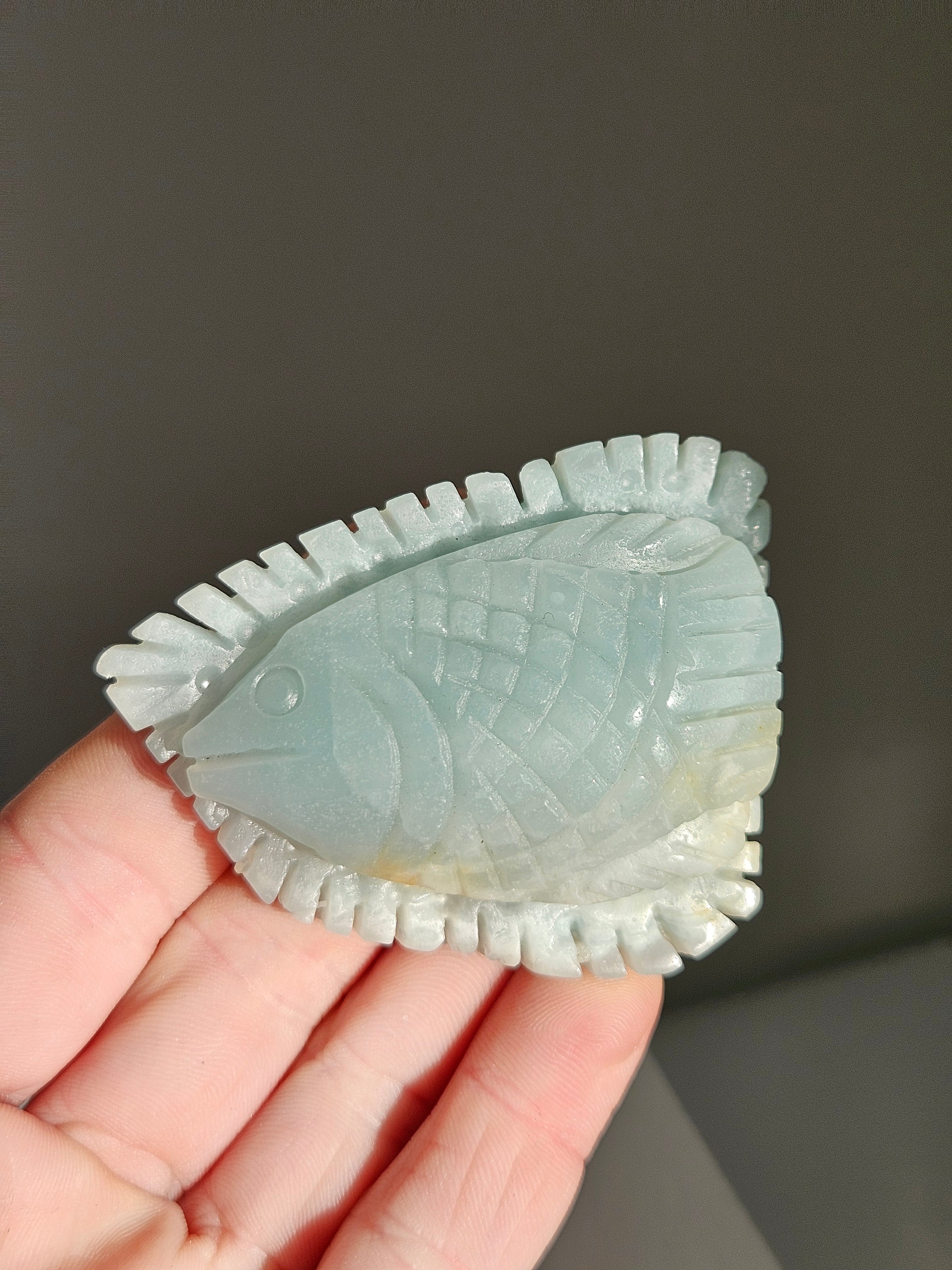 Caribbean Calcite Sea Carving 004