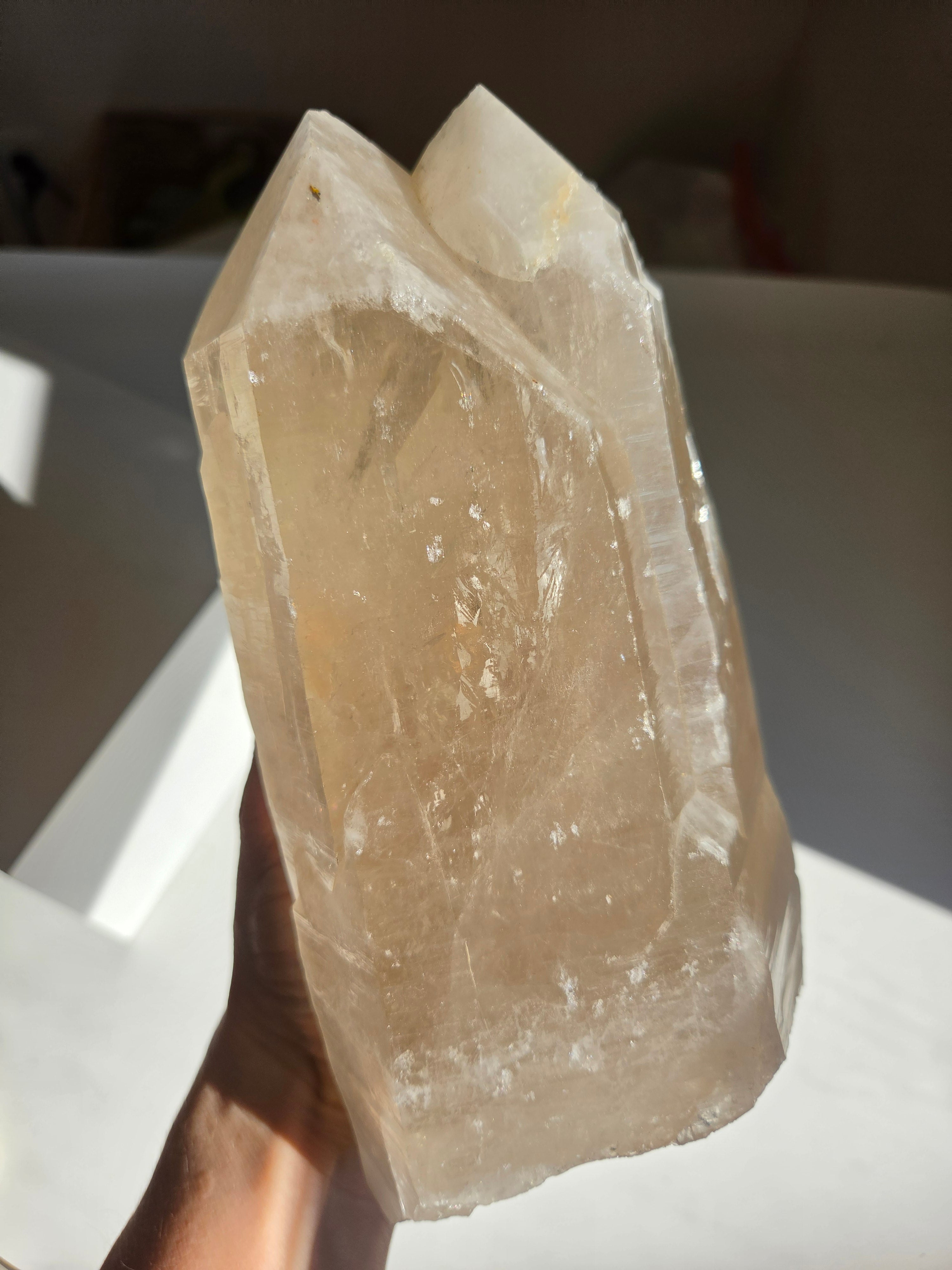 Twin Citrine Statement