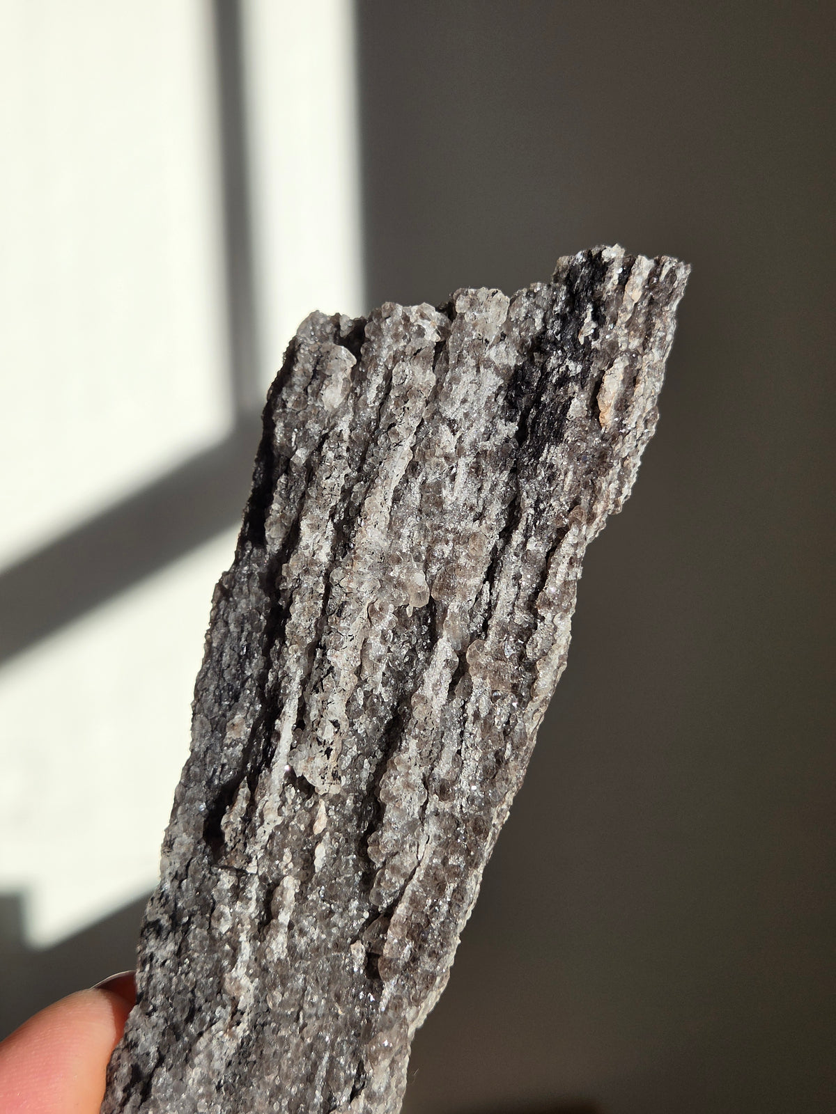 Smoky Quartz on Fossilized Wood 007