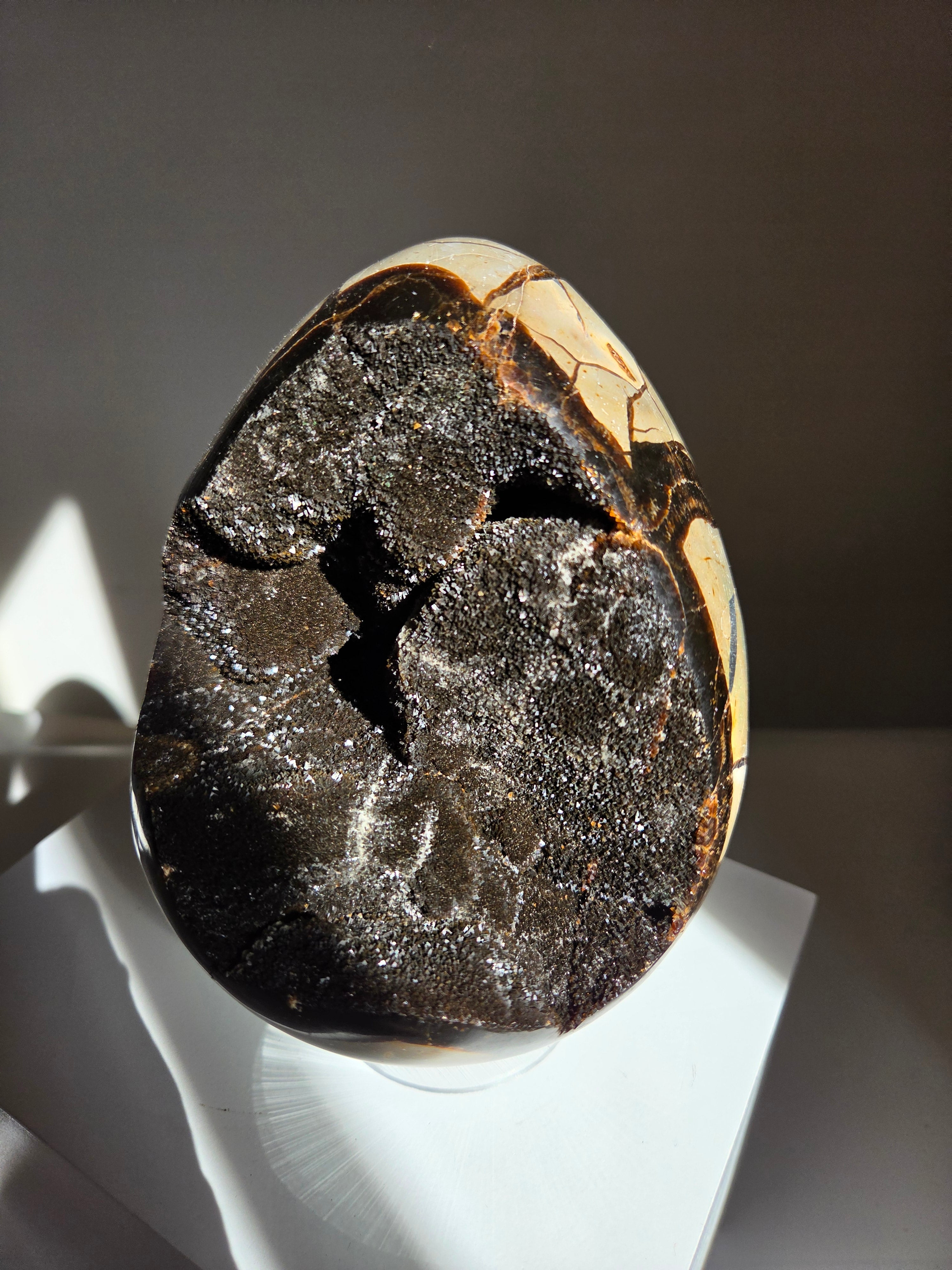 Septarian Egg 001