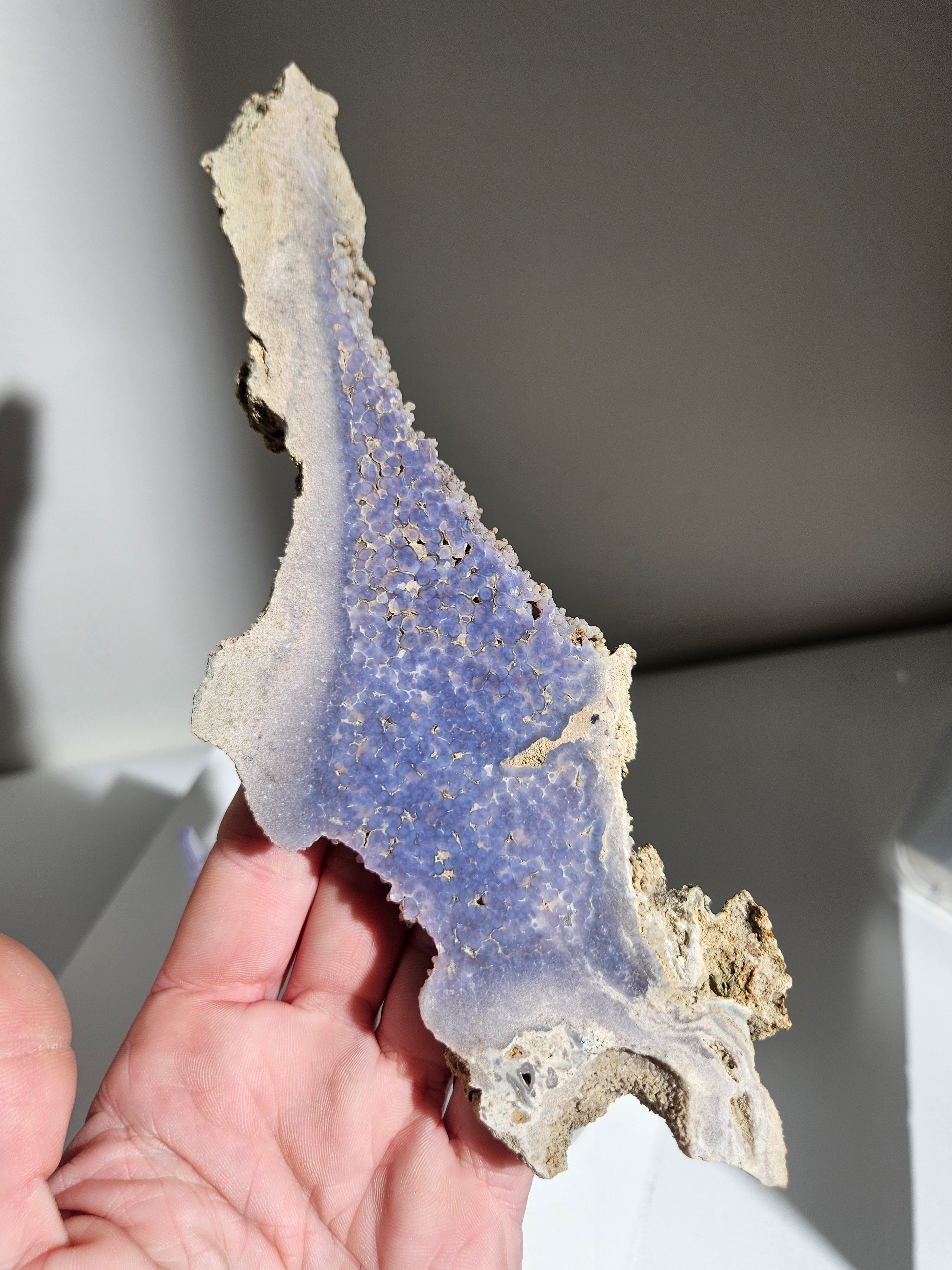 Illumination Bundle 005