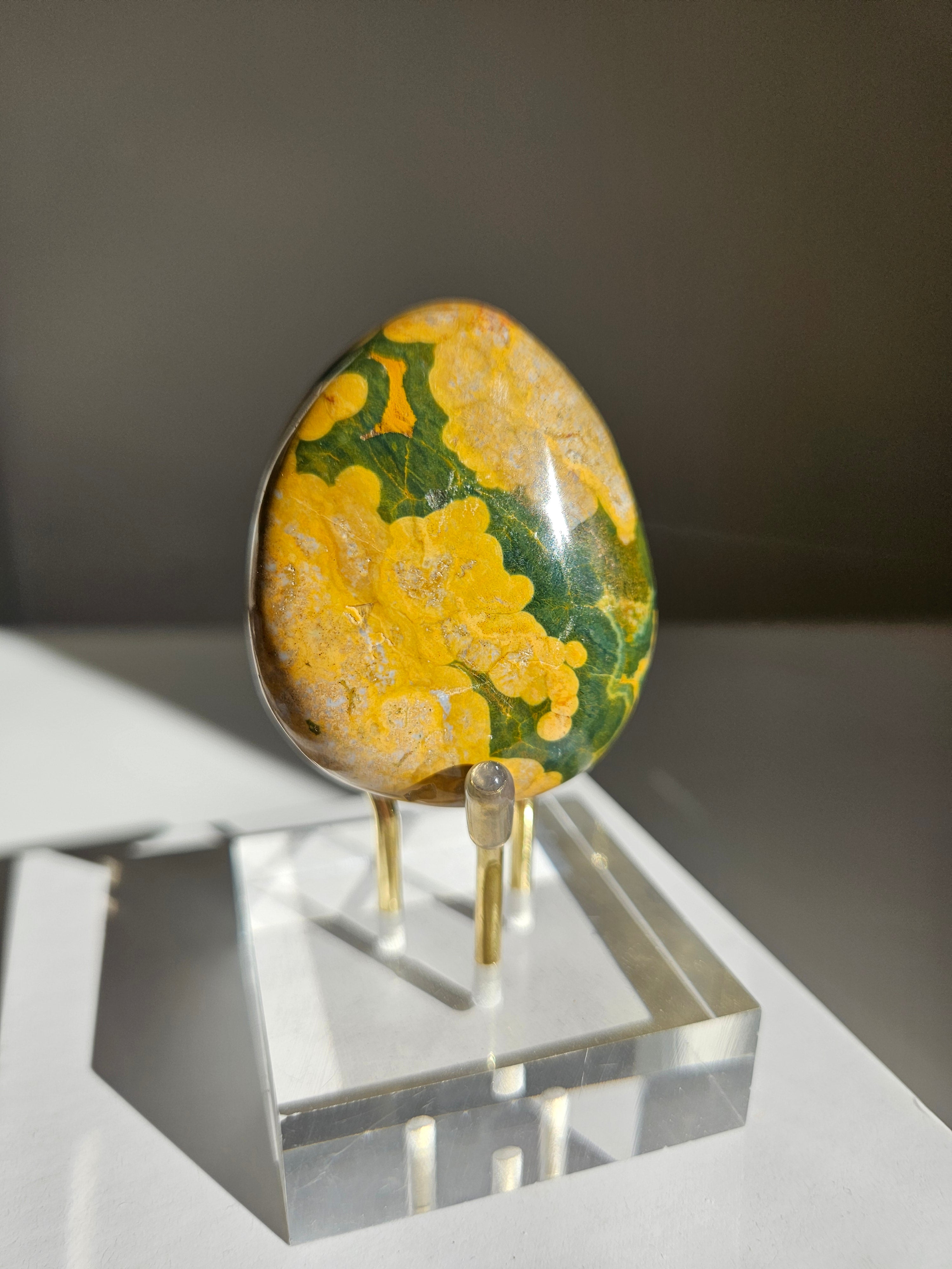 Sea Jasper Palmstone 028