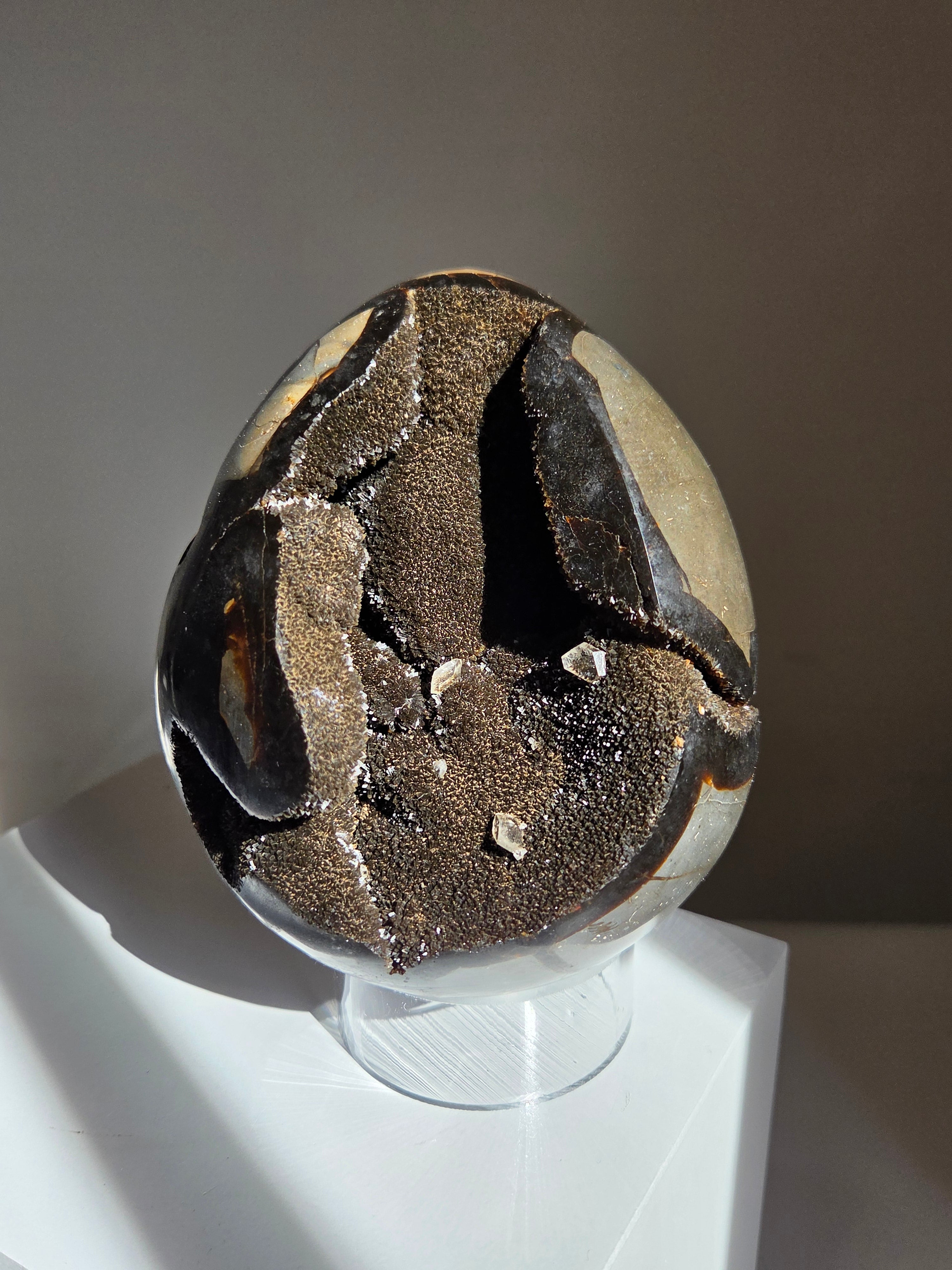 Septarian Egg 002