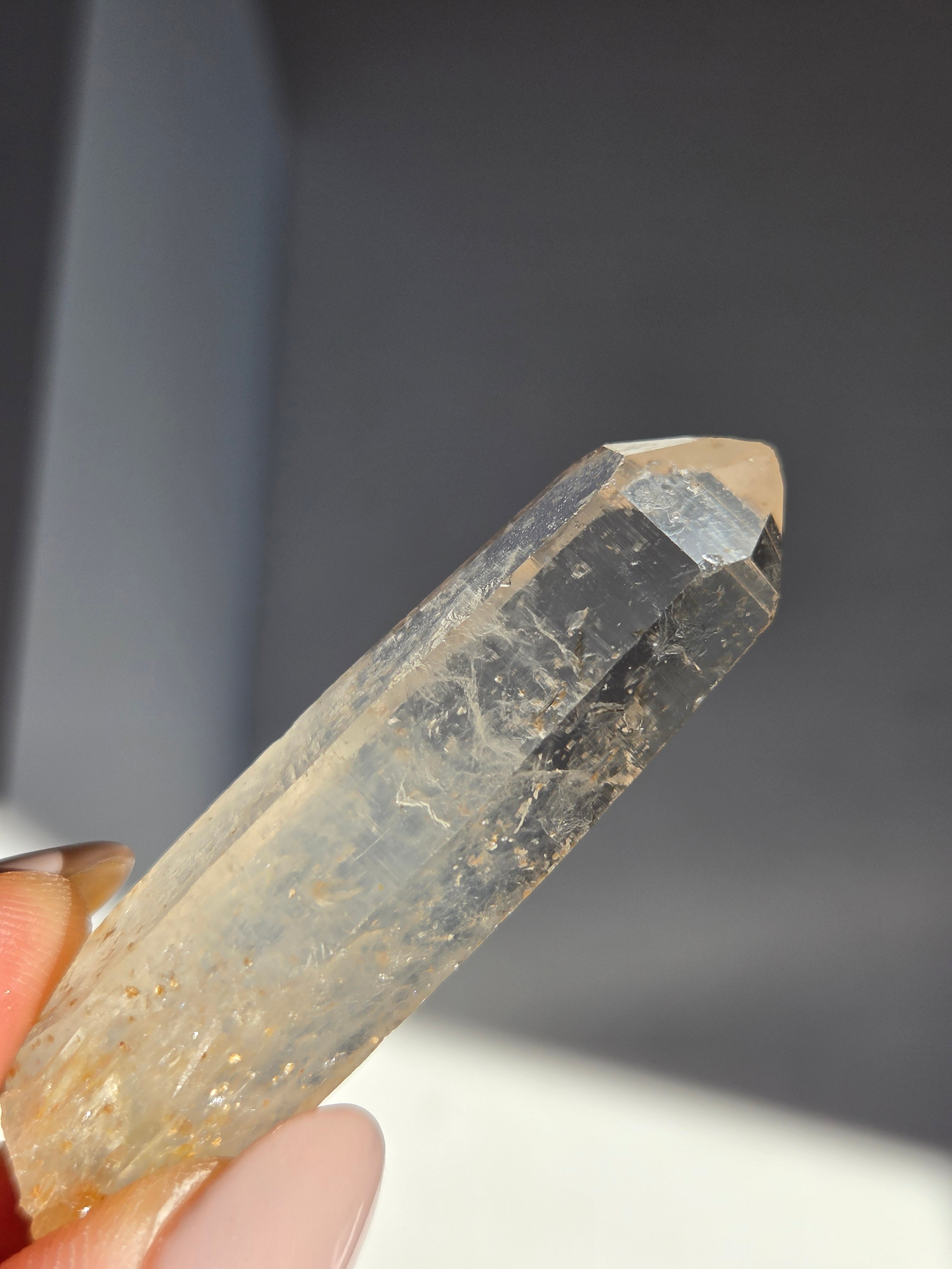 Blue Smoke Colombian Lemurian 007