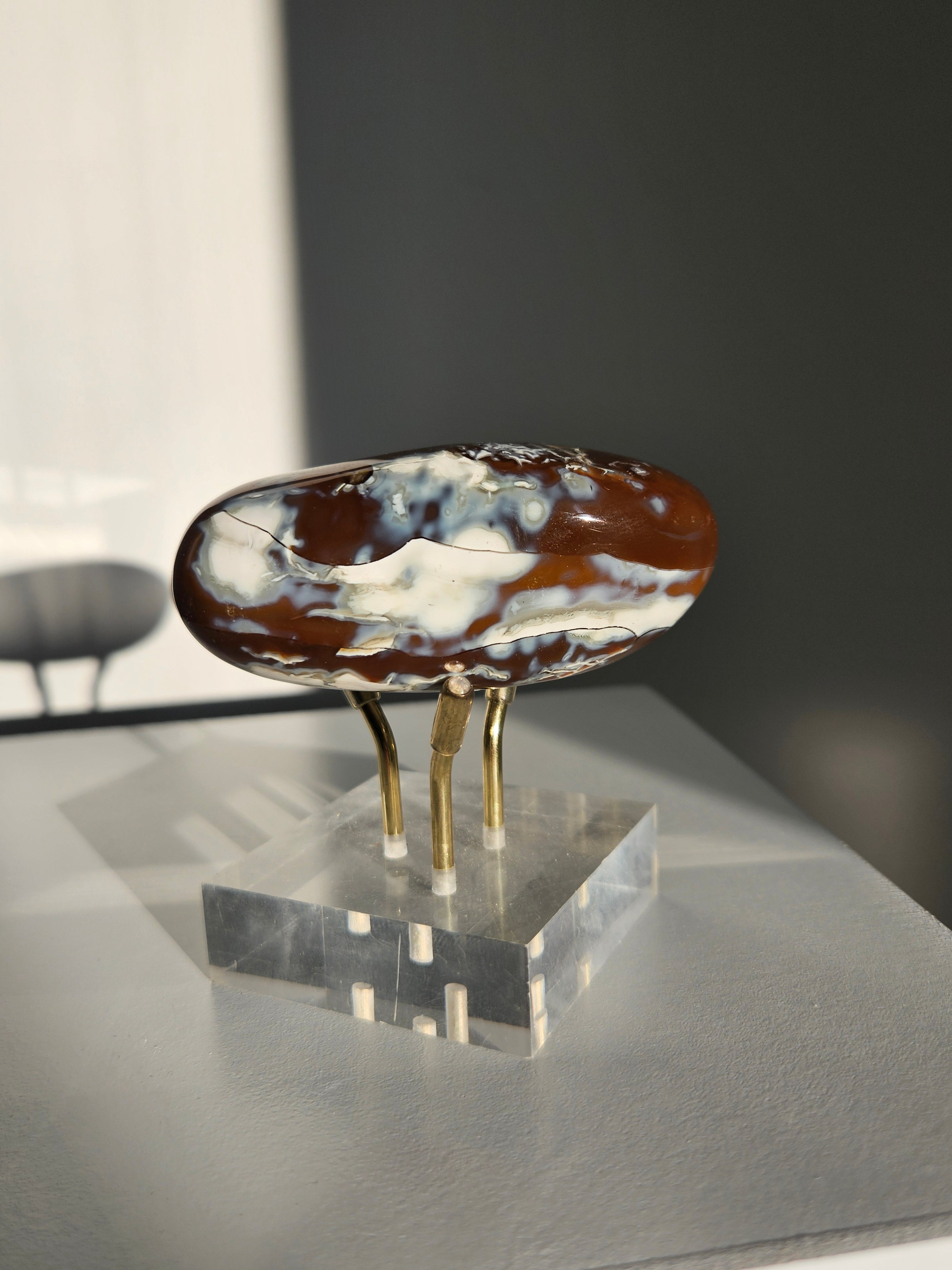 Orca agate x Carnelian Freeform 013