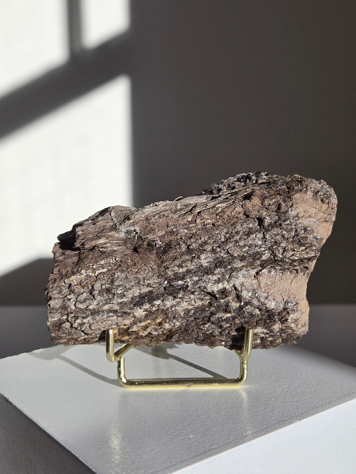 Smoky Quartz on Fossilized Wood 005