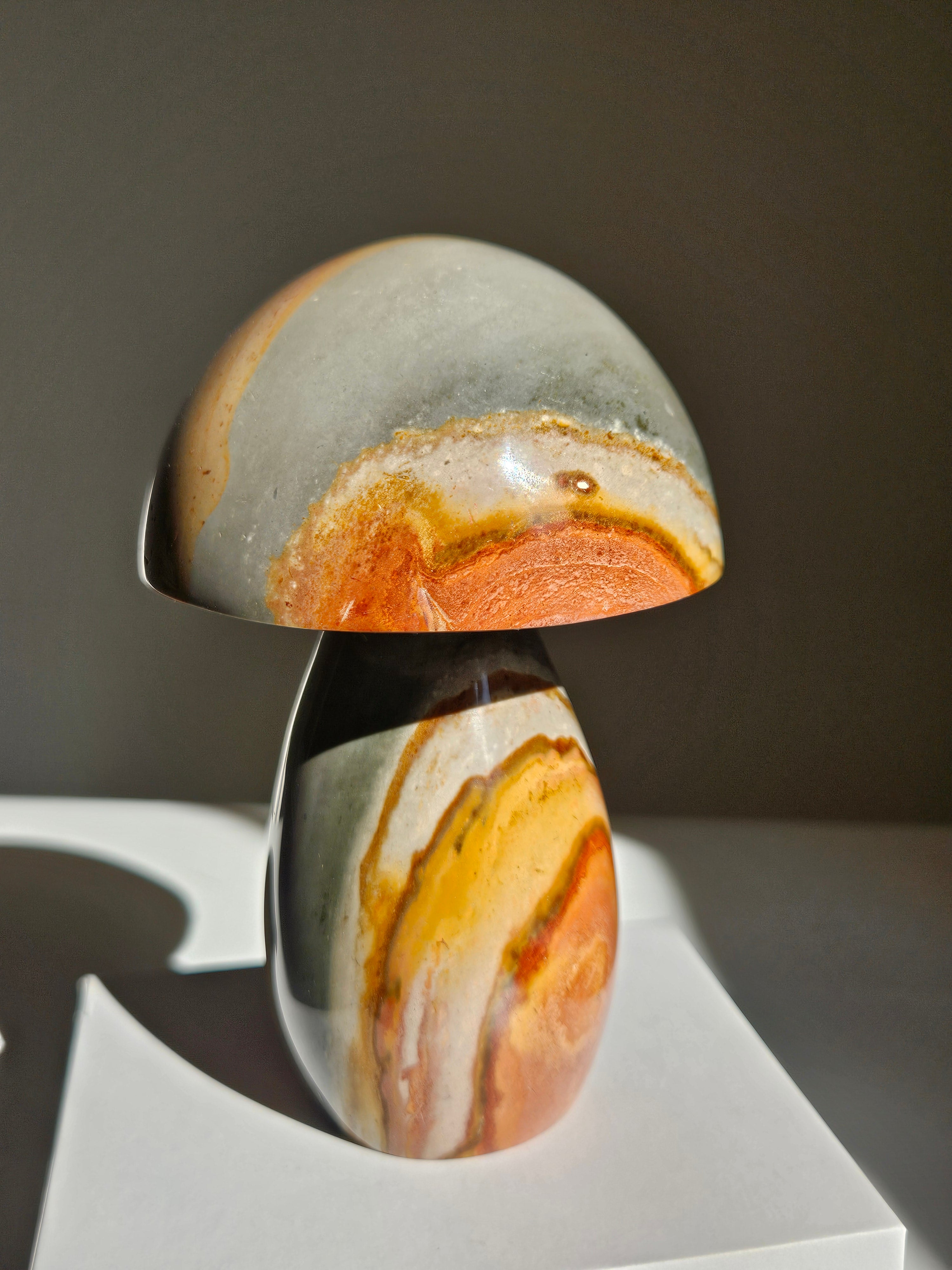 Polychrome Jasper Mushroom 007
