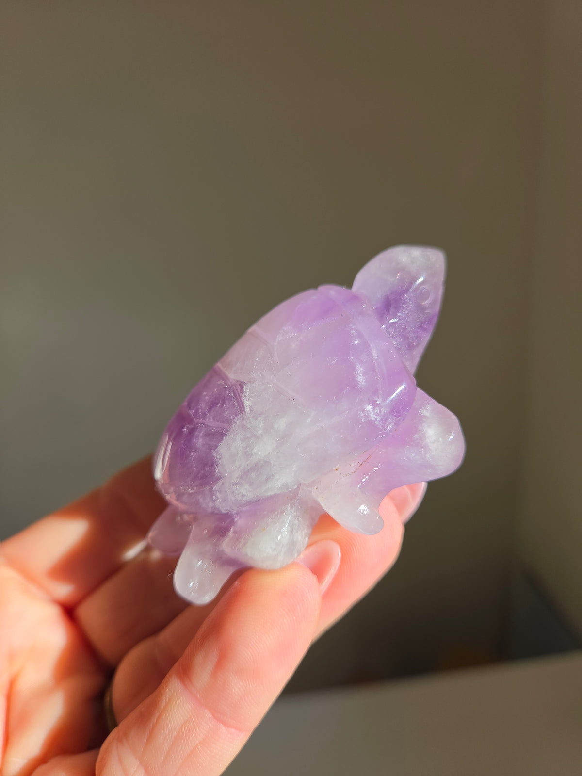 Amethyst Turtle 003