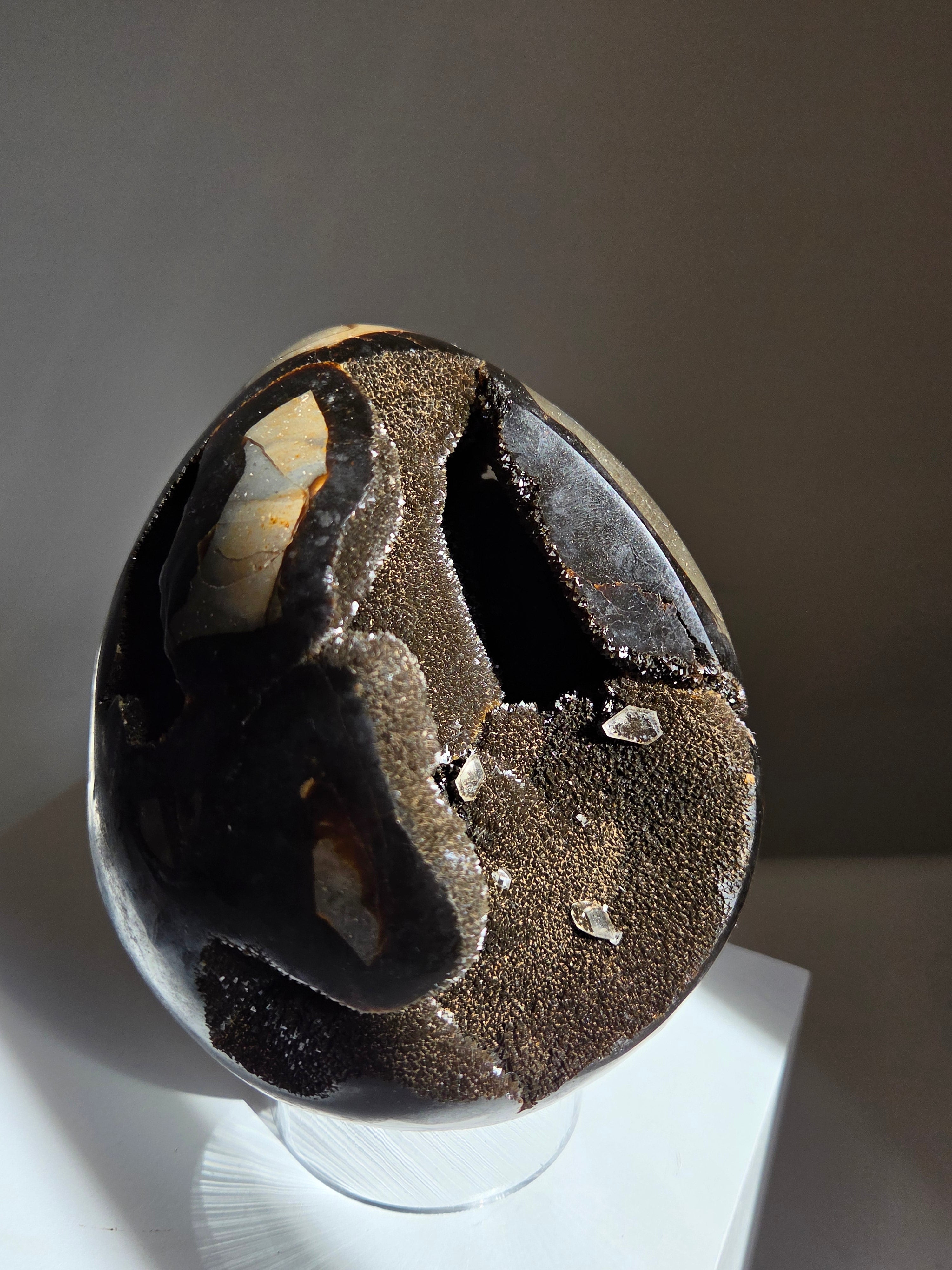 Septarian Egg 002