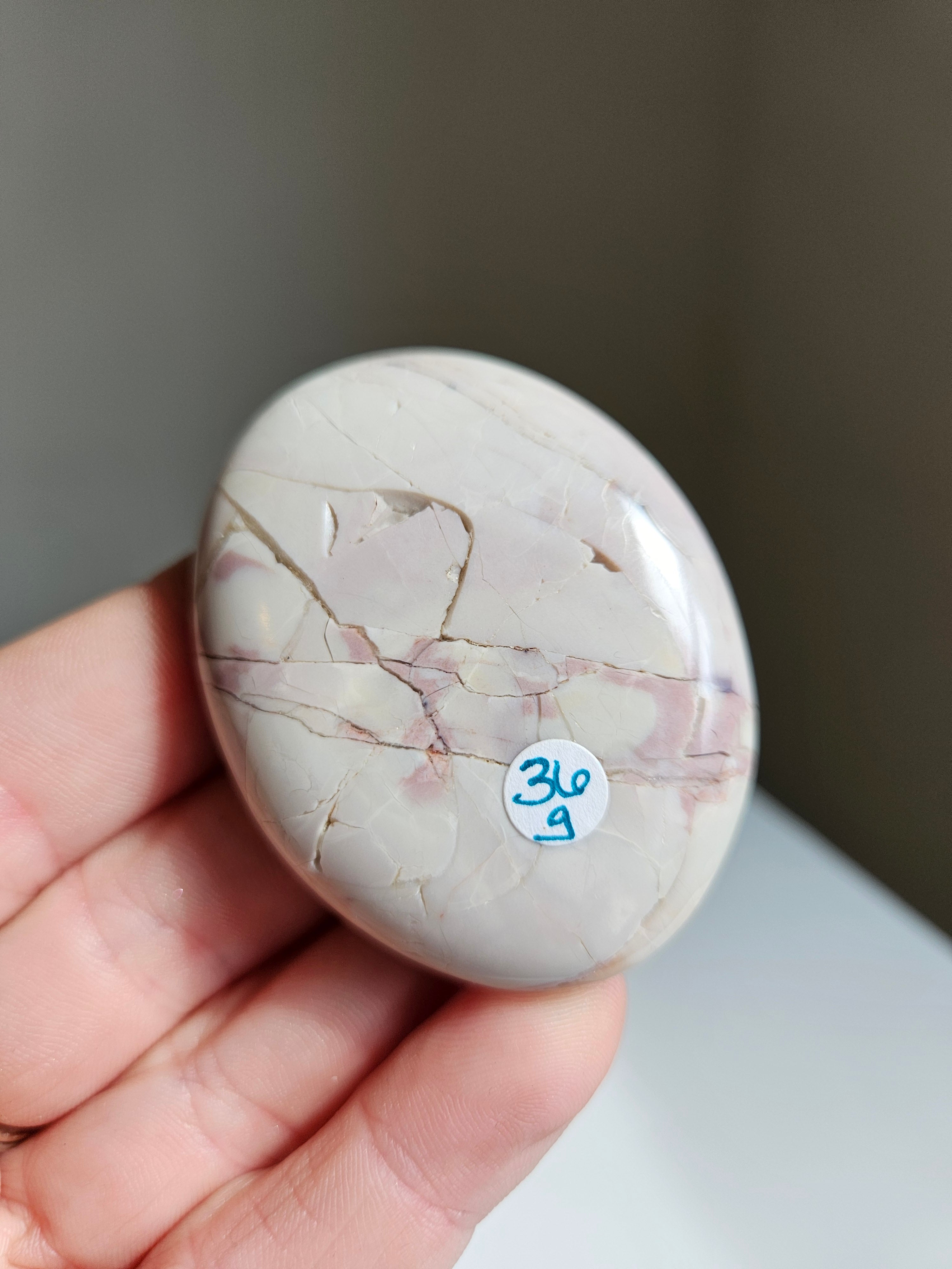 Hyacinth jasper palm 002